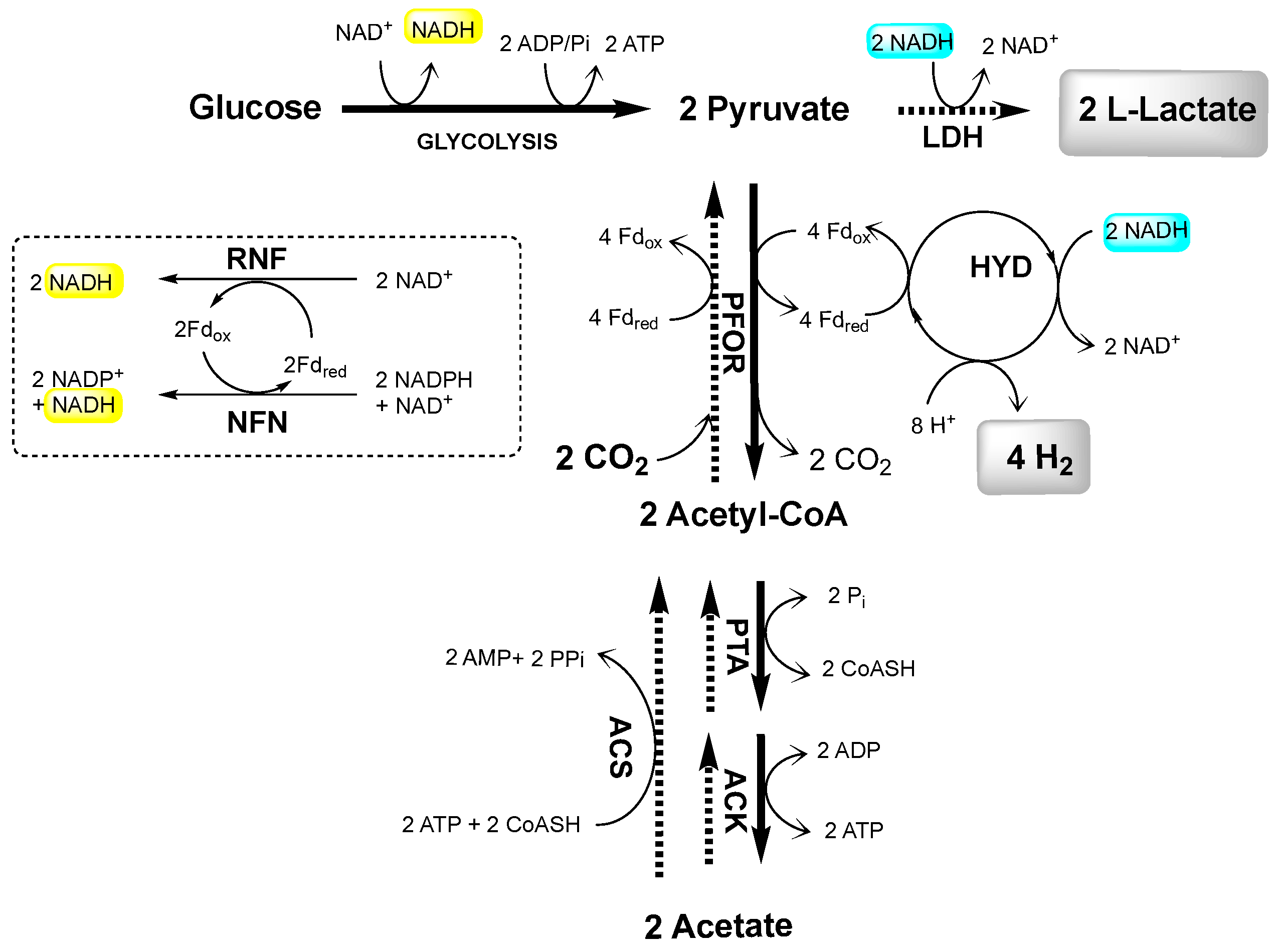 Ijms 23 12049 g001 Ijms 23 12049 g001