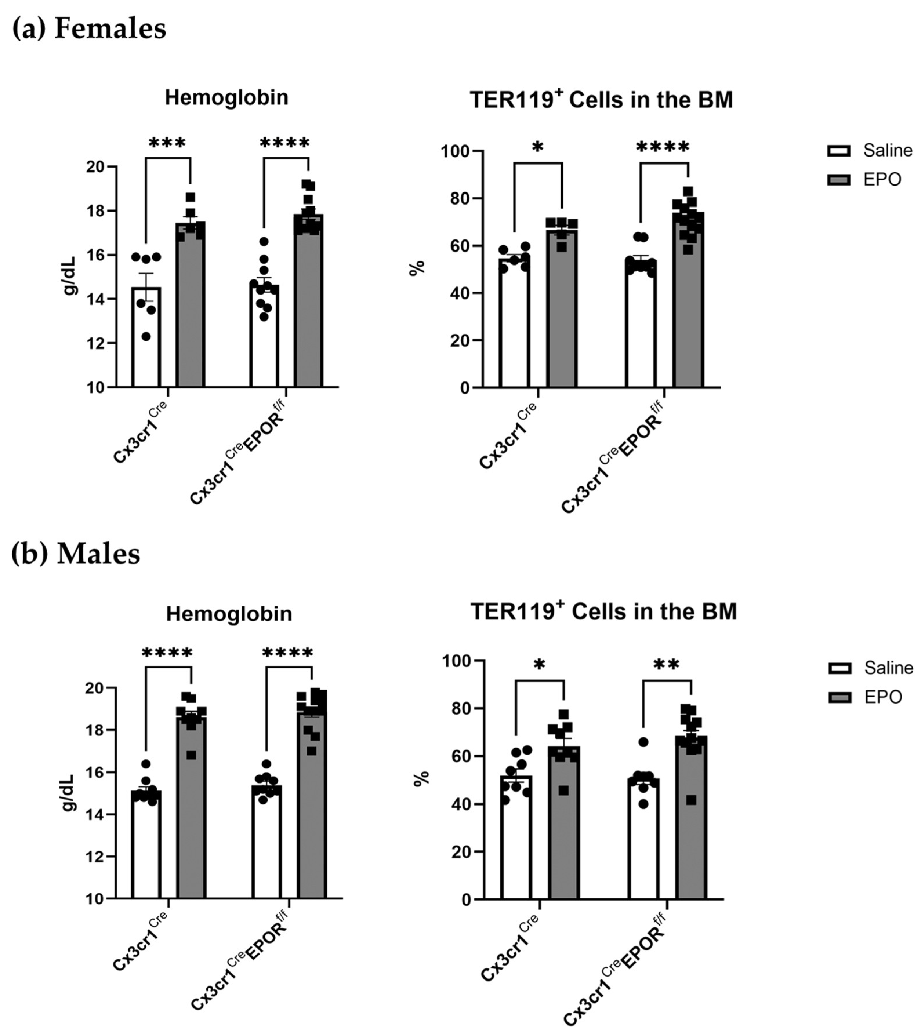 Ijms 23 12051 g003 Ijms 23 12051 g003