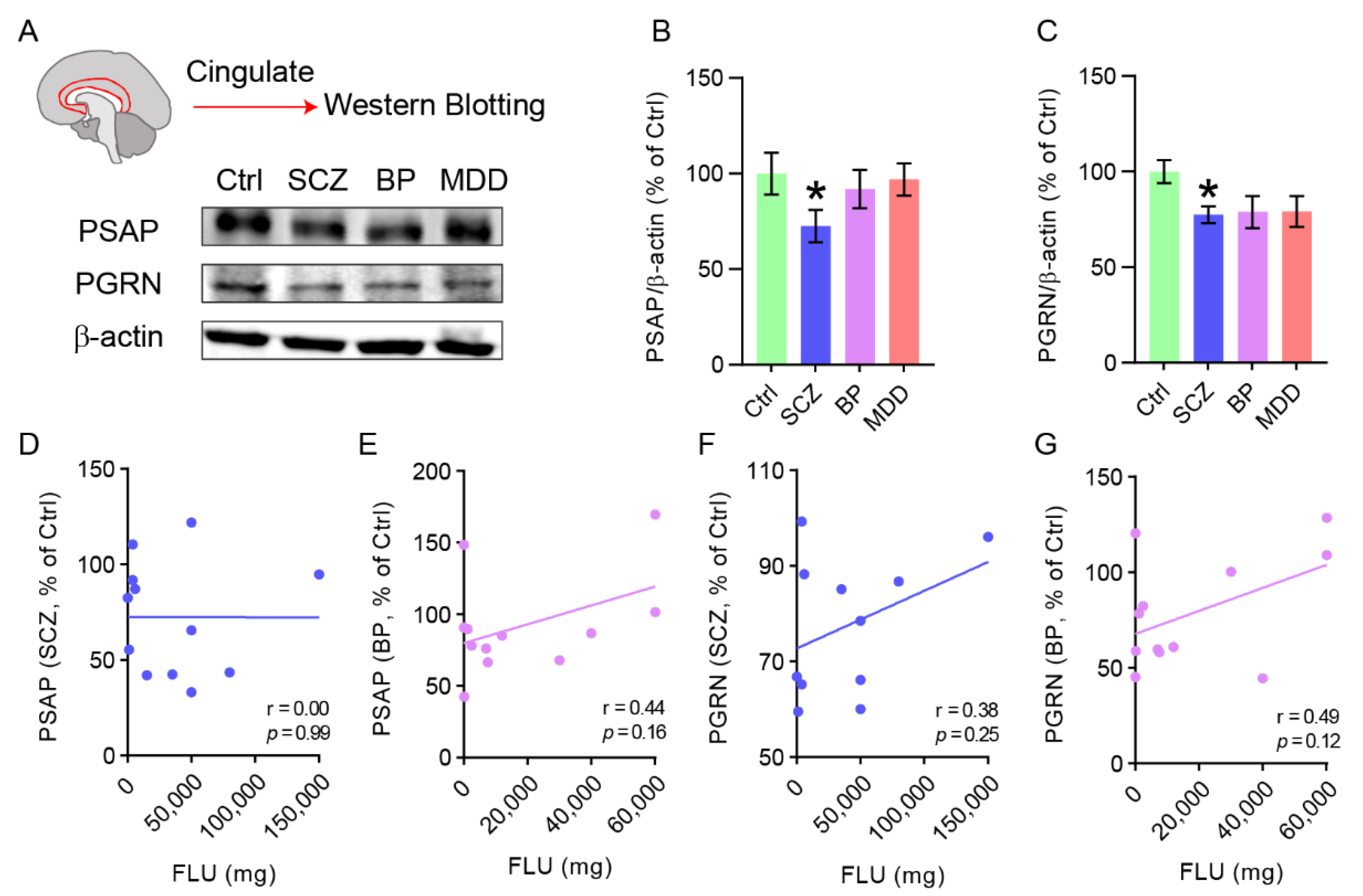 Ijms 23 12056 g001 Ijms 23 12056 g001