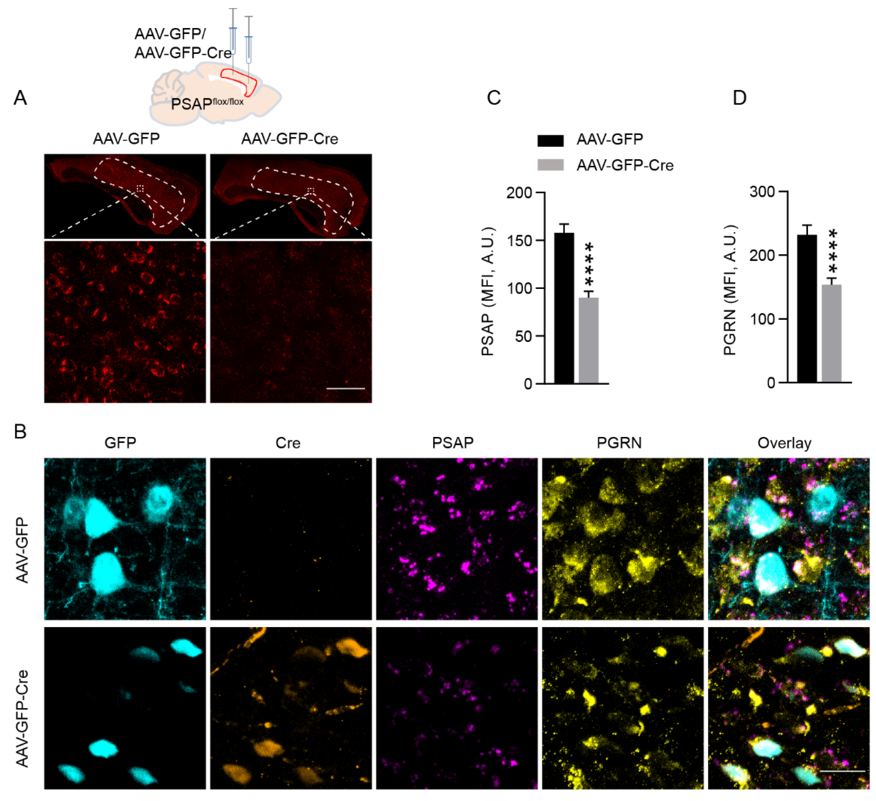Ijms 23 12056 g002 Ijms 23 12056 g002