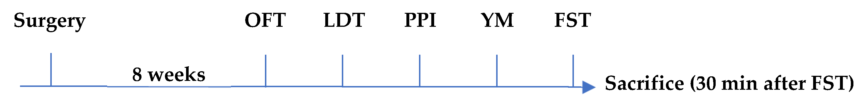 Ijms 23 12056 g005 Ijms 23 12056 g005