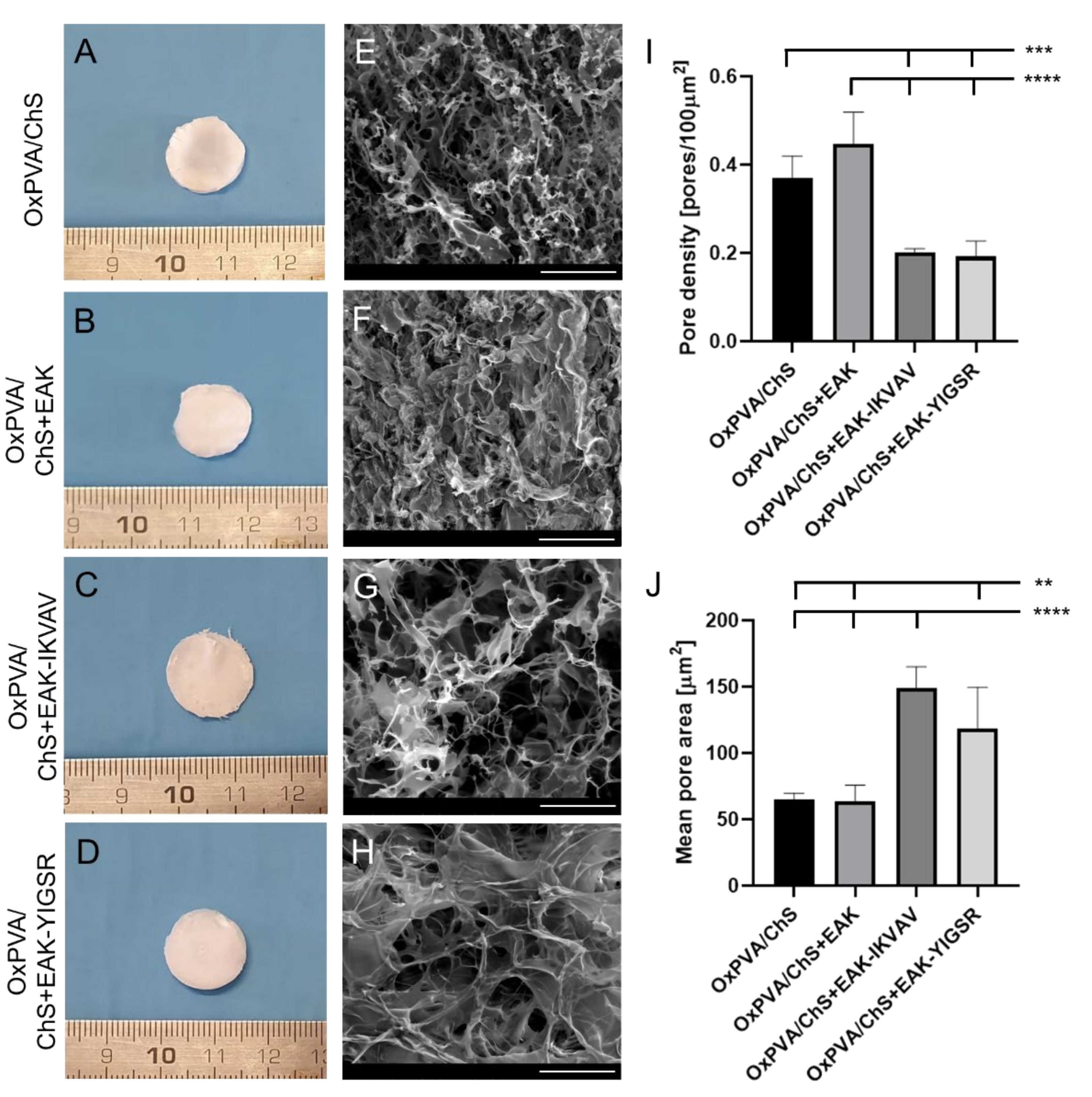 Ijms 23 12059 g002 Ijms 23 12059 g002