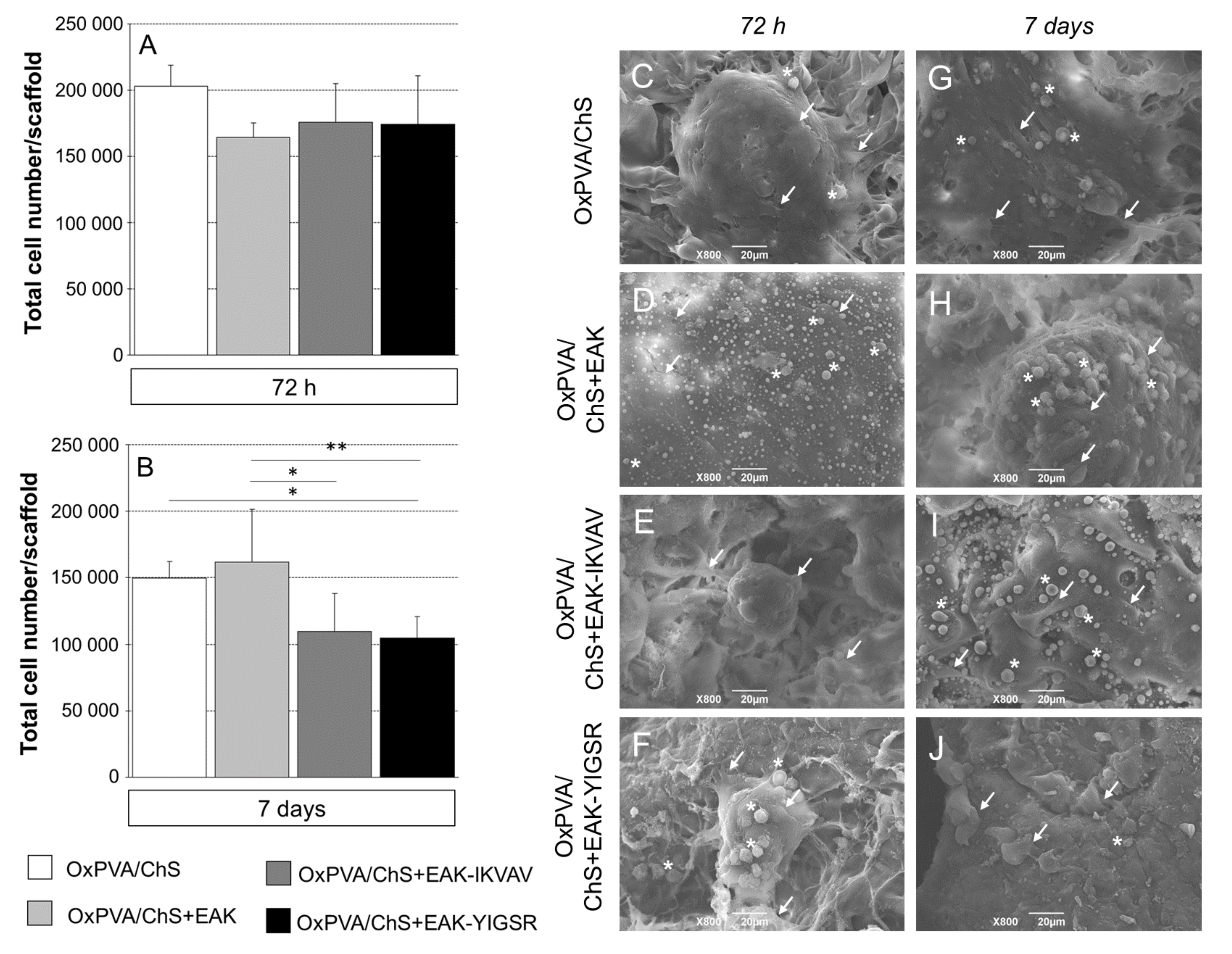 Ijms 23 12059 g003 Ijms 23 12059 g003