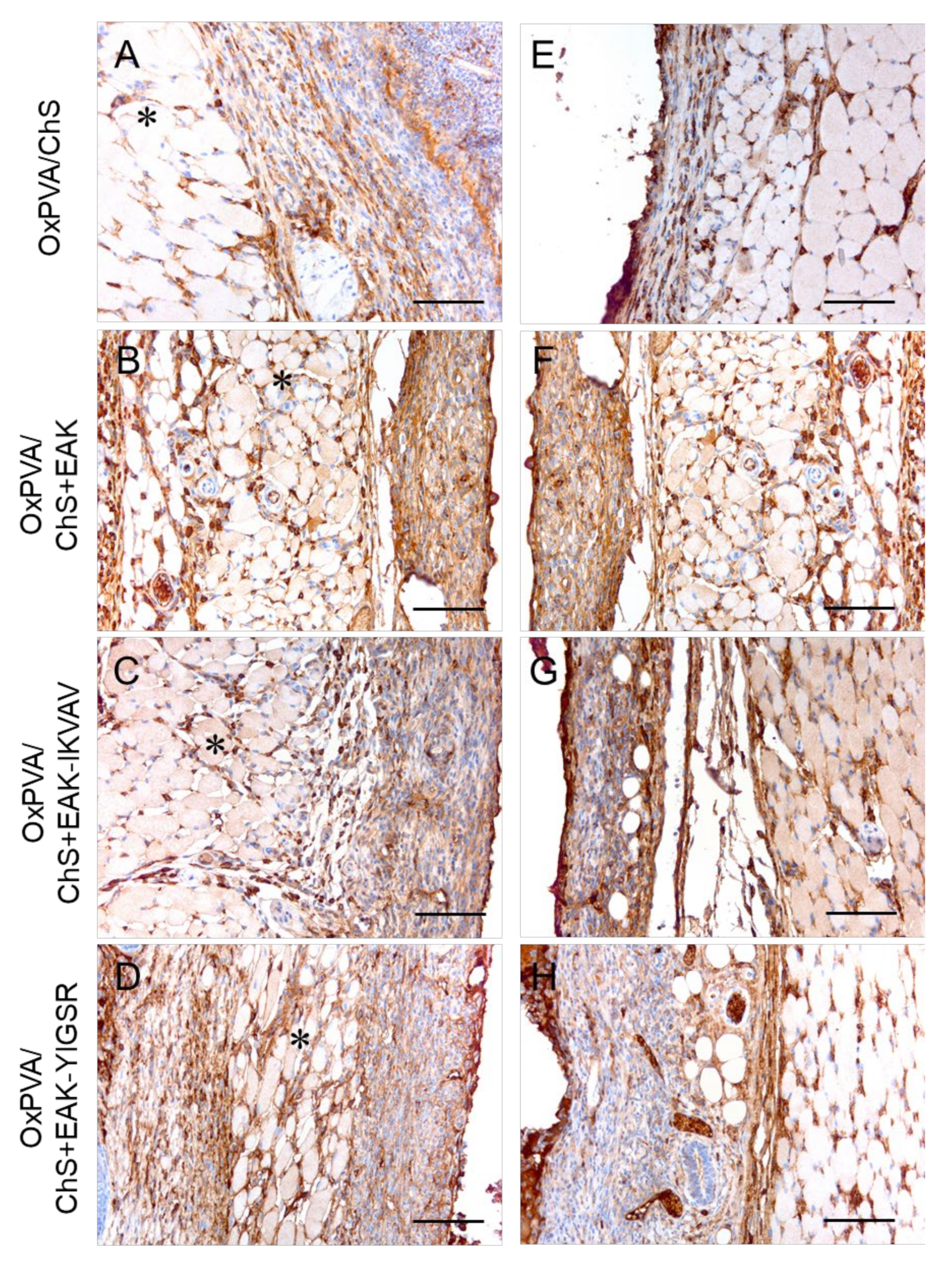 Ijms 23 12059 g008 Ijms 23 12059 g008