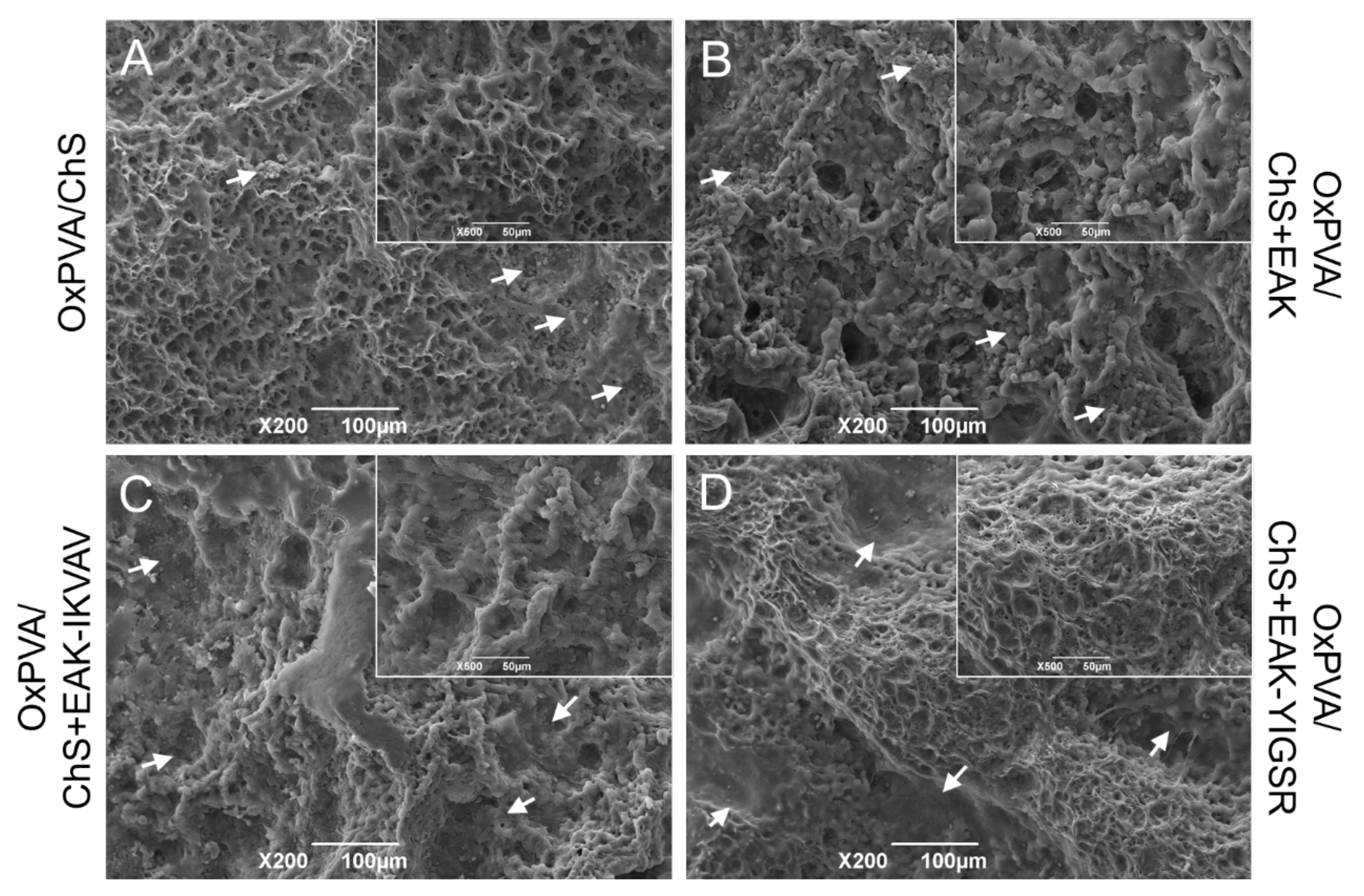 Ijms 23 12059 g009 Ijms 23 12059 g009