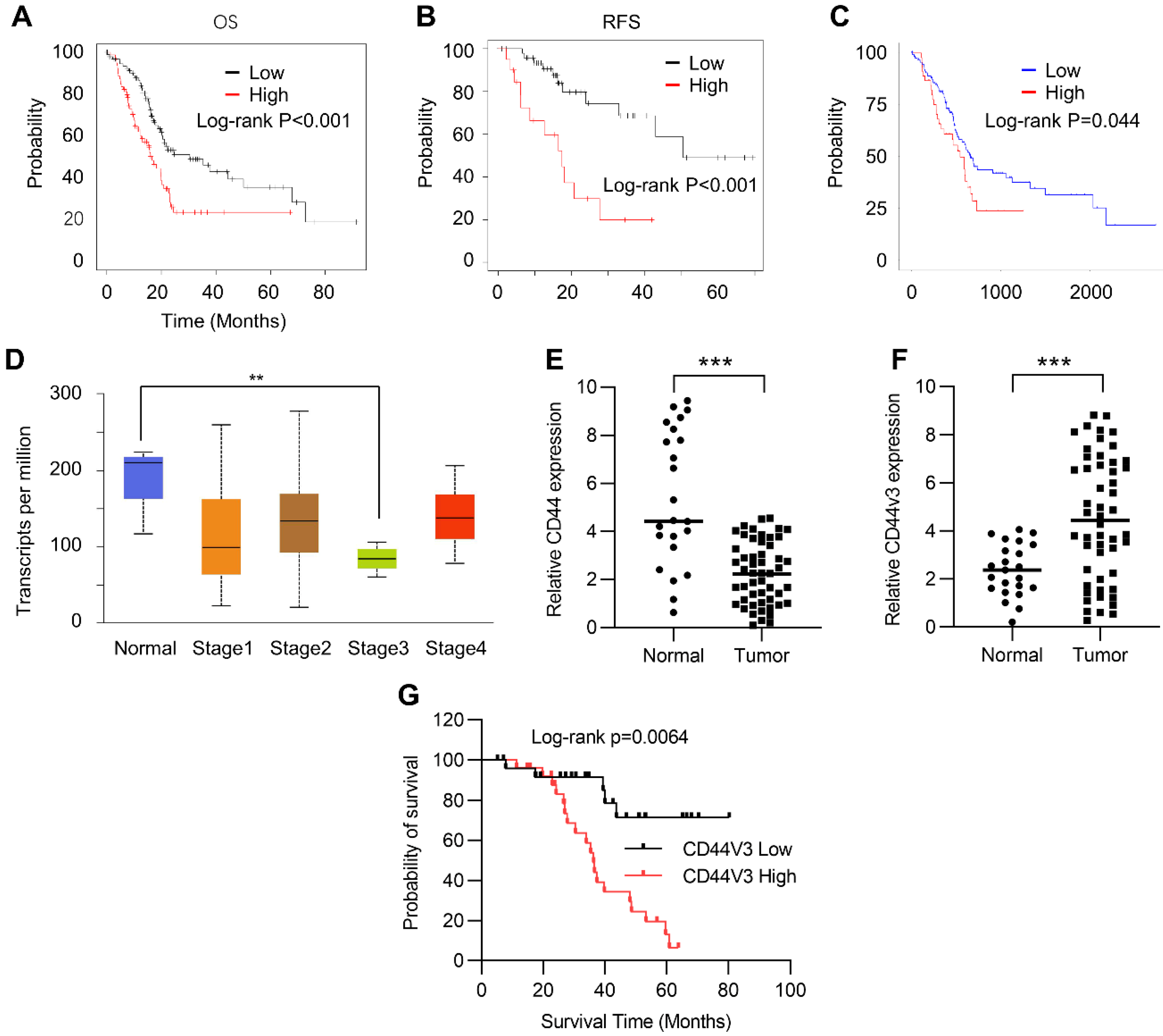 Ijms 23 12061 g001 Ijms 23 12061 g001