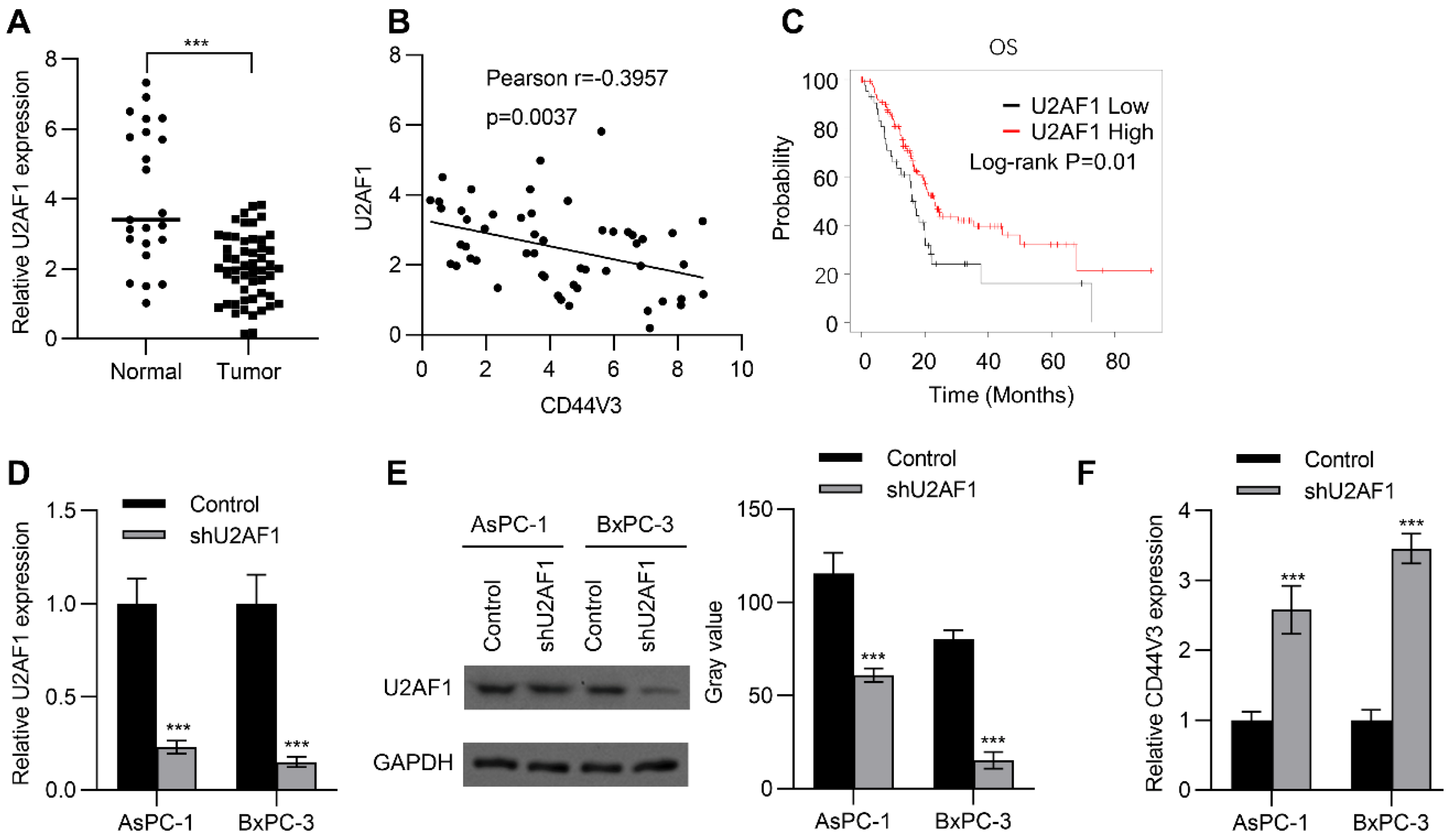 Ijms 23 12061 g002 Ijms 23 12061 g002