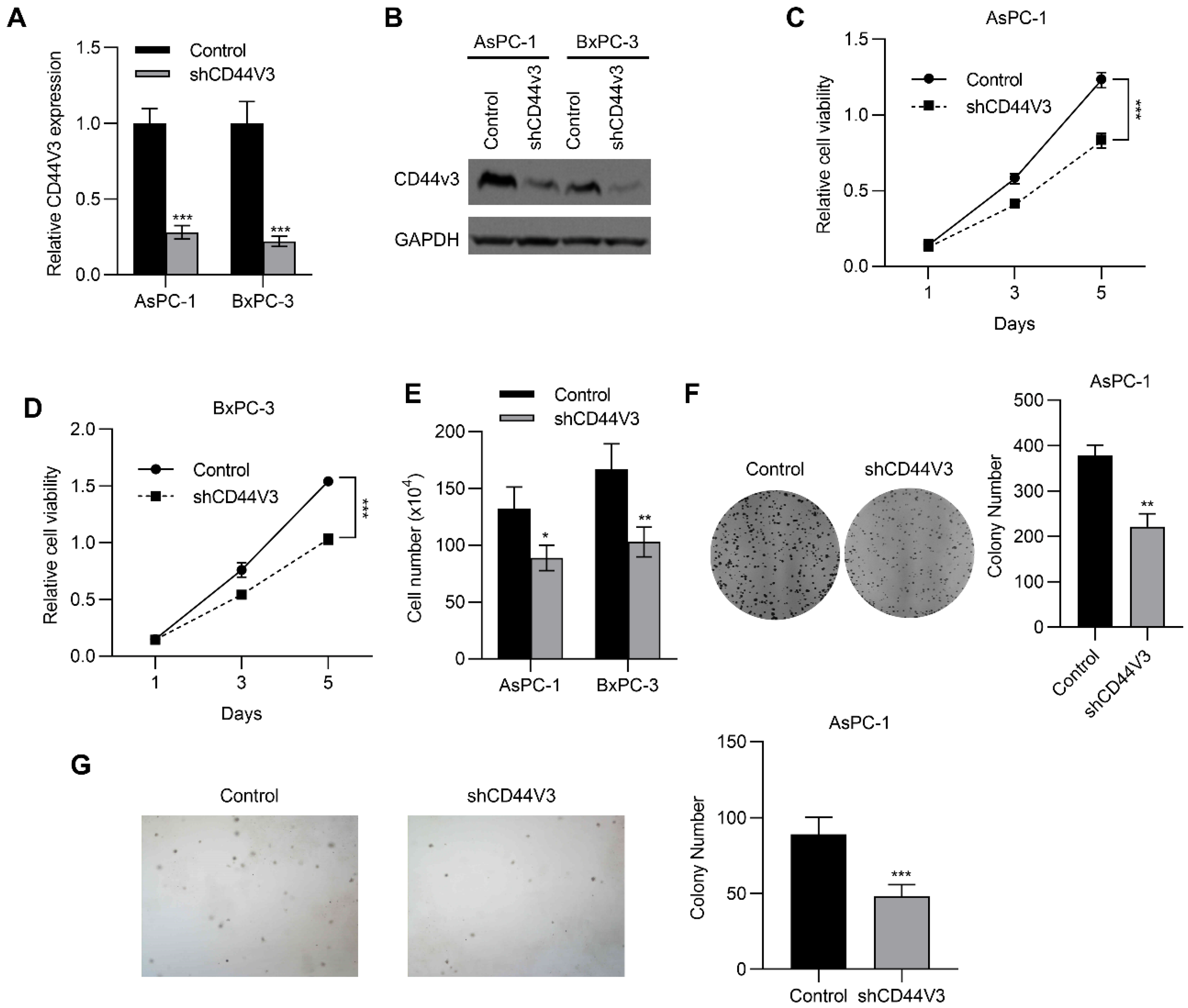 Ijms 23 12061 g003 Ijms 23 12061 g003