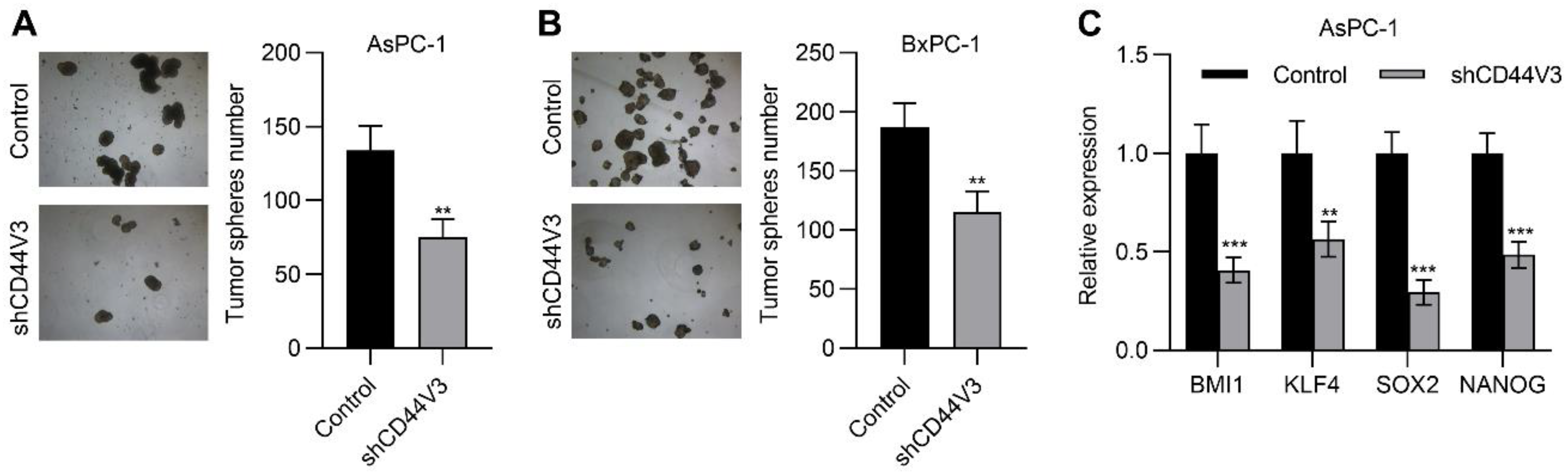 Ijms 23 12061 g005 Ijms 23 12061 g005