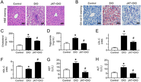 Jatrorrhizine Improves Endothelial Function in Diabetes and Jatrorrhizine Improves Endothelial Function in Diabetes and
