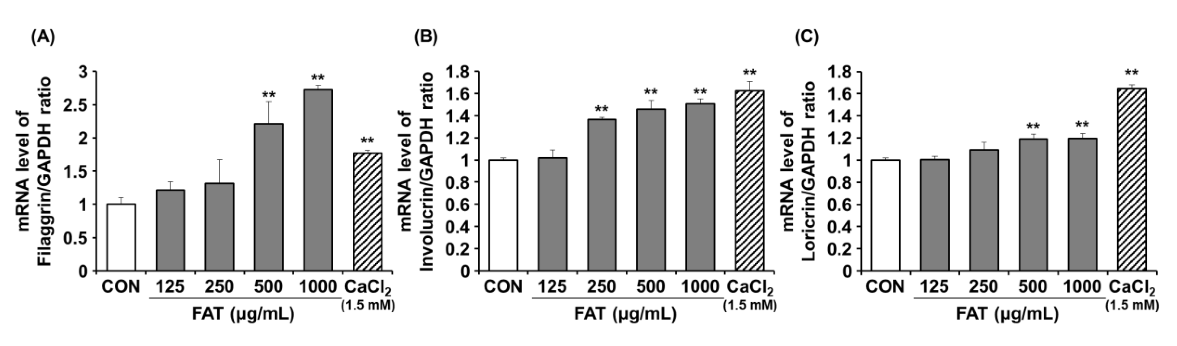 Ijms 23 12072 g002 Ijms 23 12072 g002