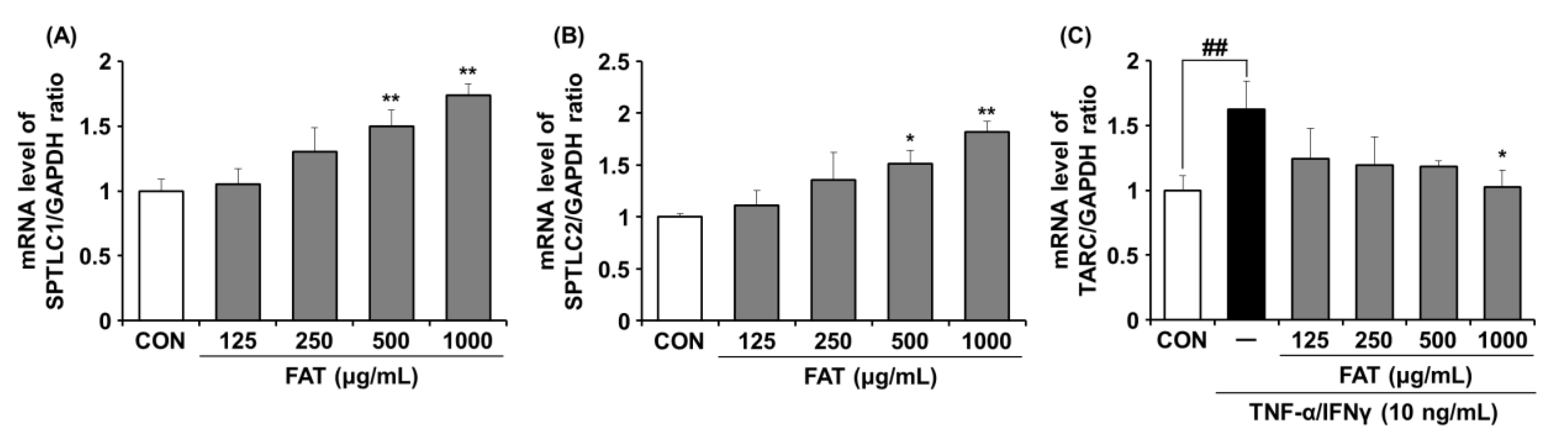 Ijms 23 12072 g003 Ijms 23 12072 g003