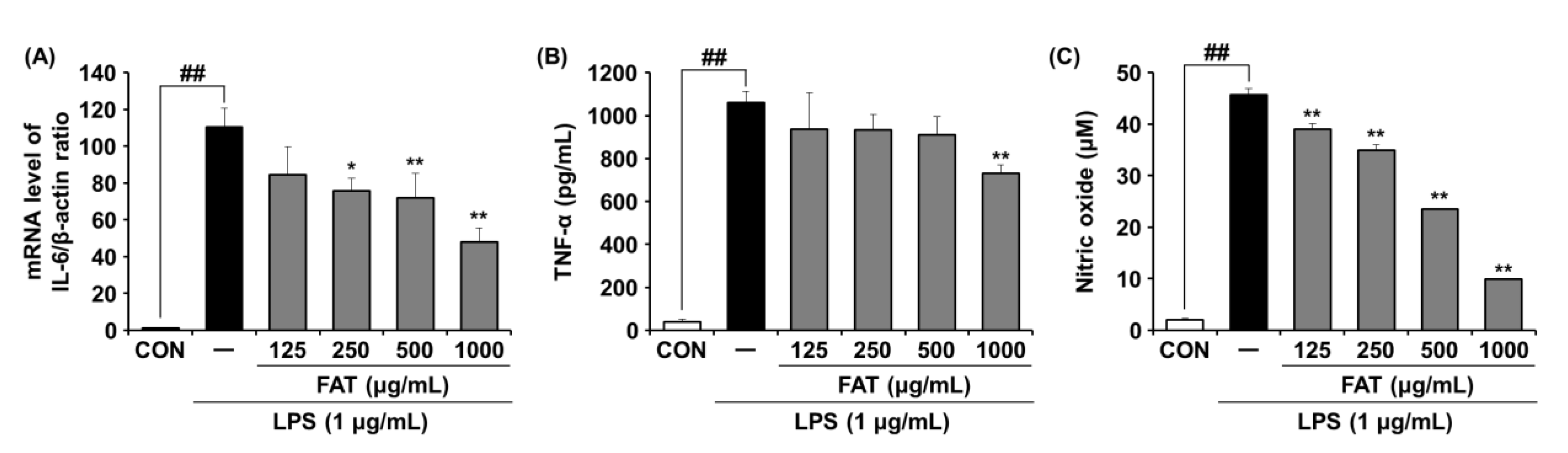 Ijms 23 12072 g004 Ijms 23 12072 g004