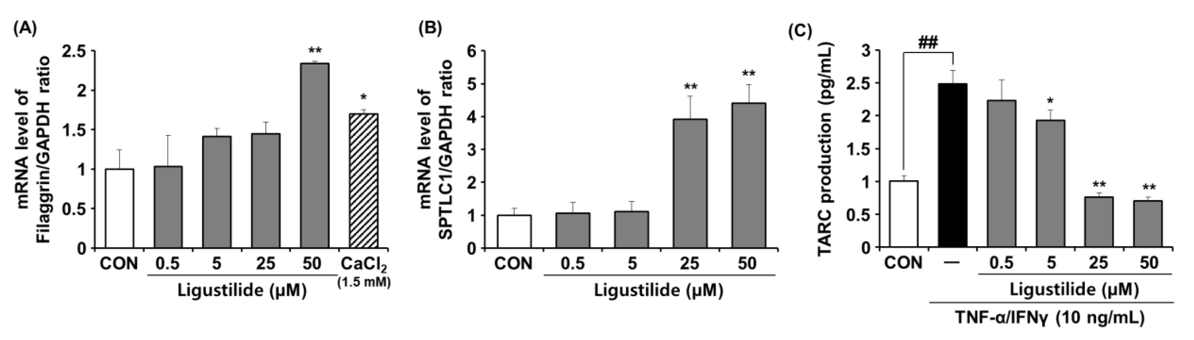 Ijms 23 12072 g005 Ijms 23 12072 g005