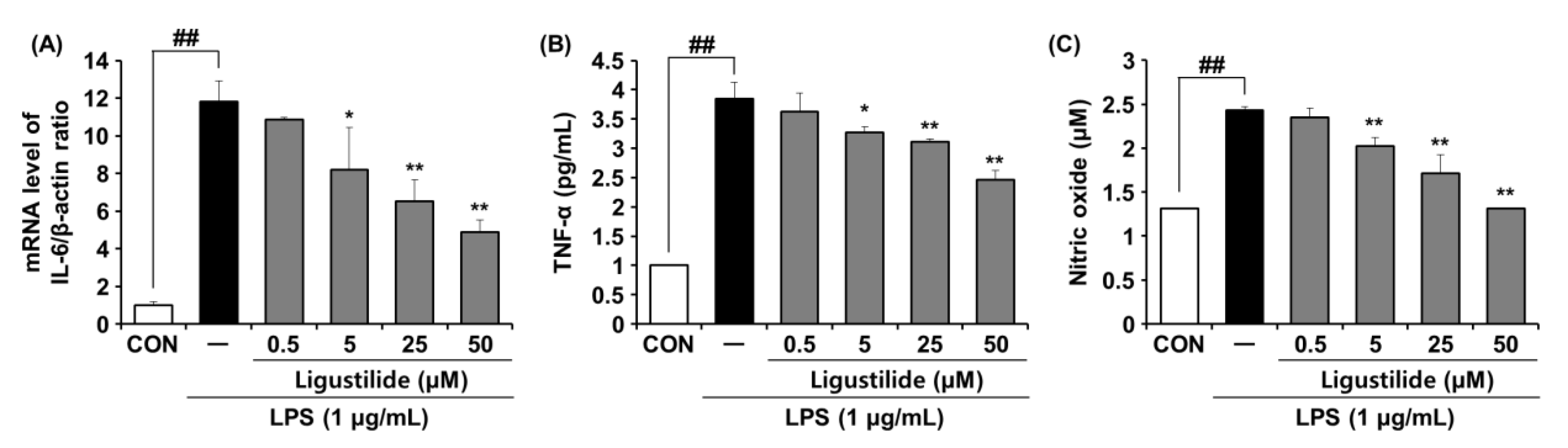 Ijms 23 12072 g006 Ijms 23 12072 g006