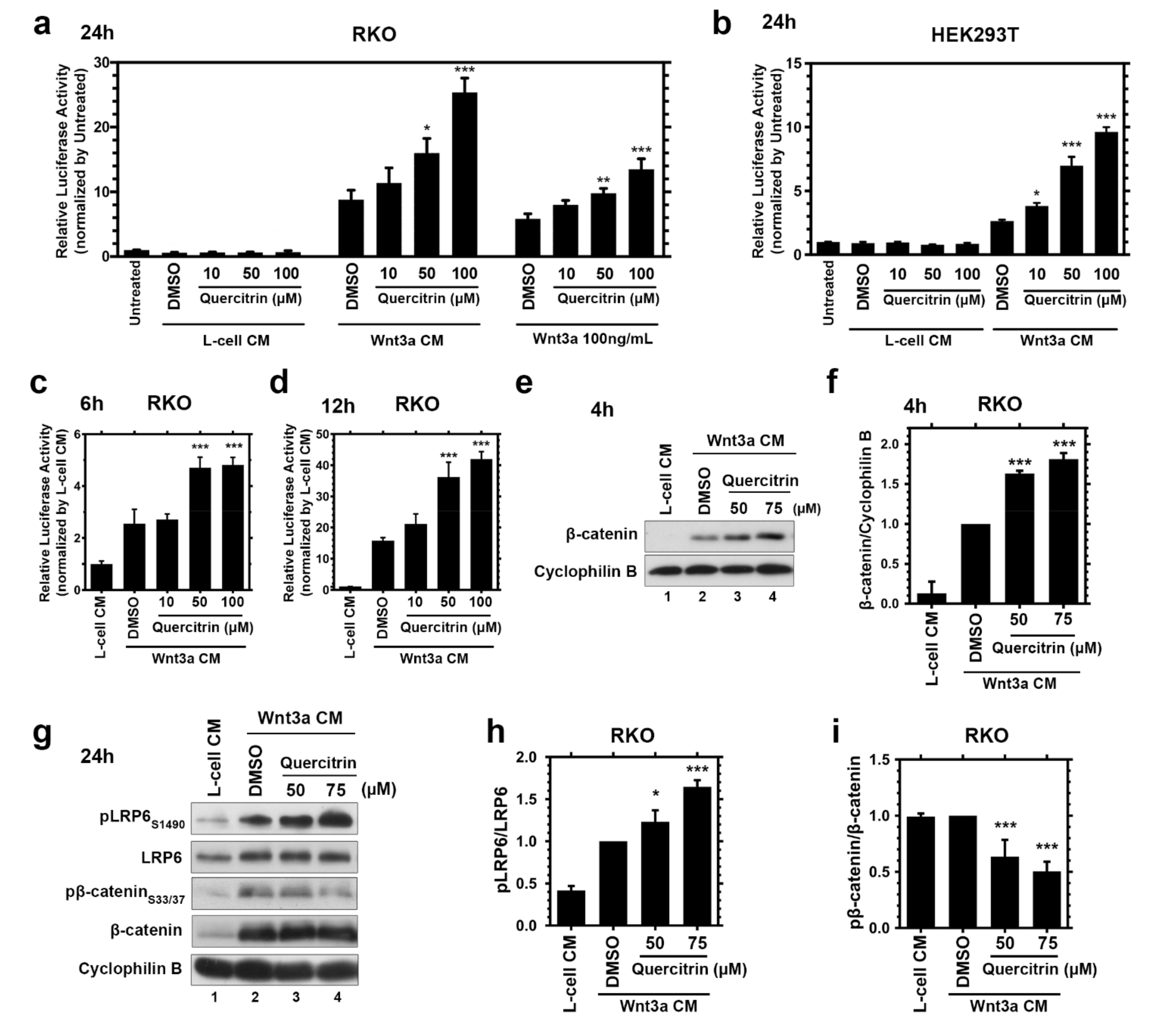 Ijms 23 12078 g001 Ijms 23 12078 g001