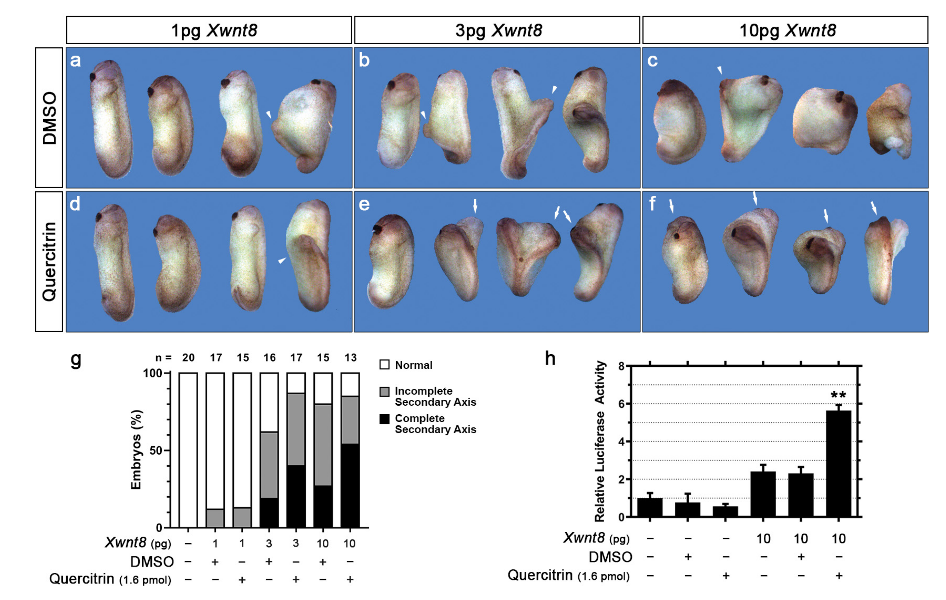 Ijms 23 12078 g002 Ijms 23 12078 g002