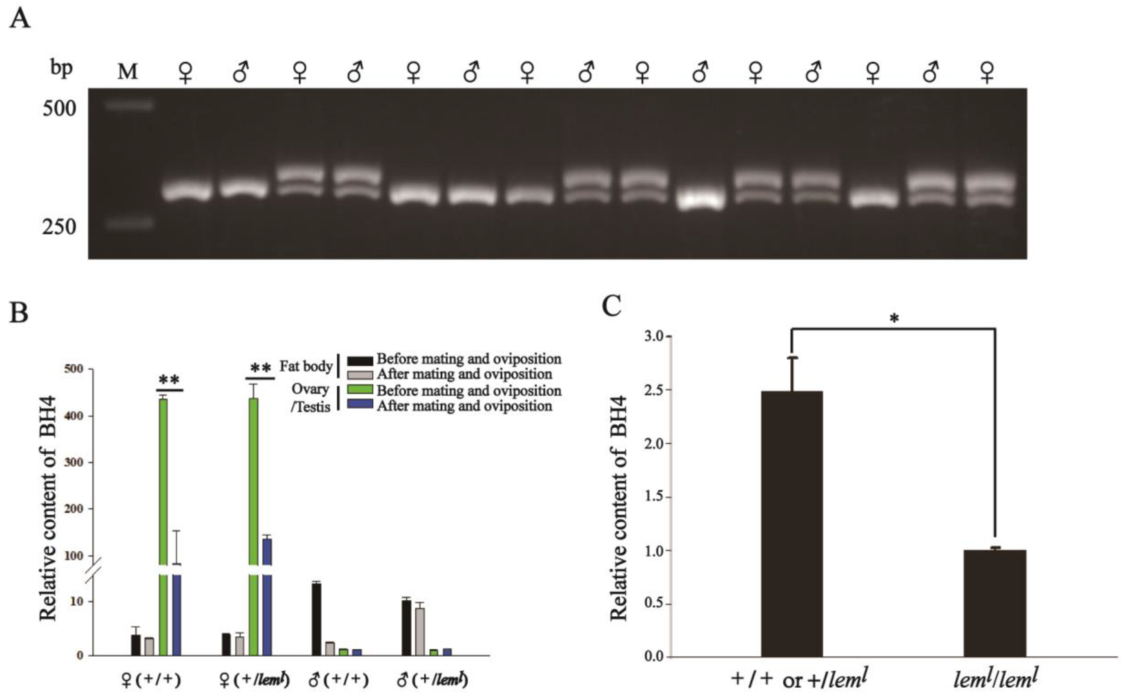 Ijms 23 12083 g001 Ijms 23 12083 g001