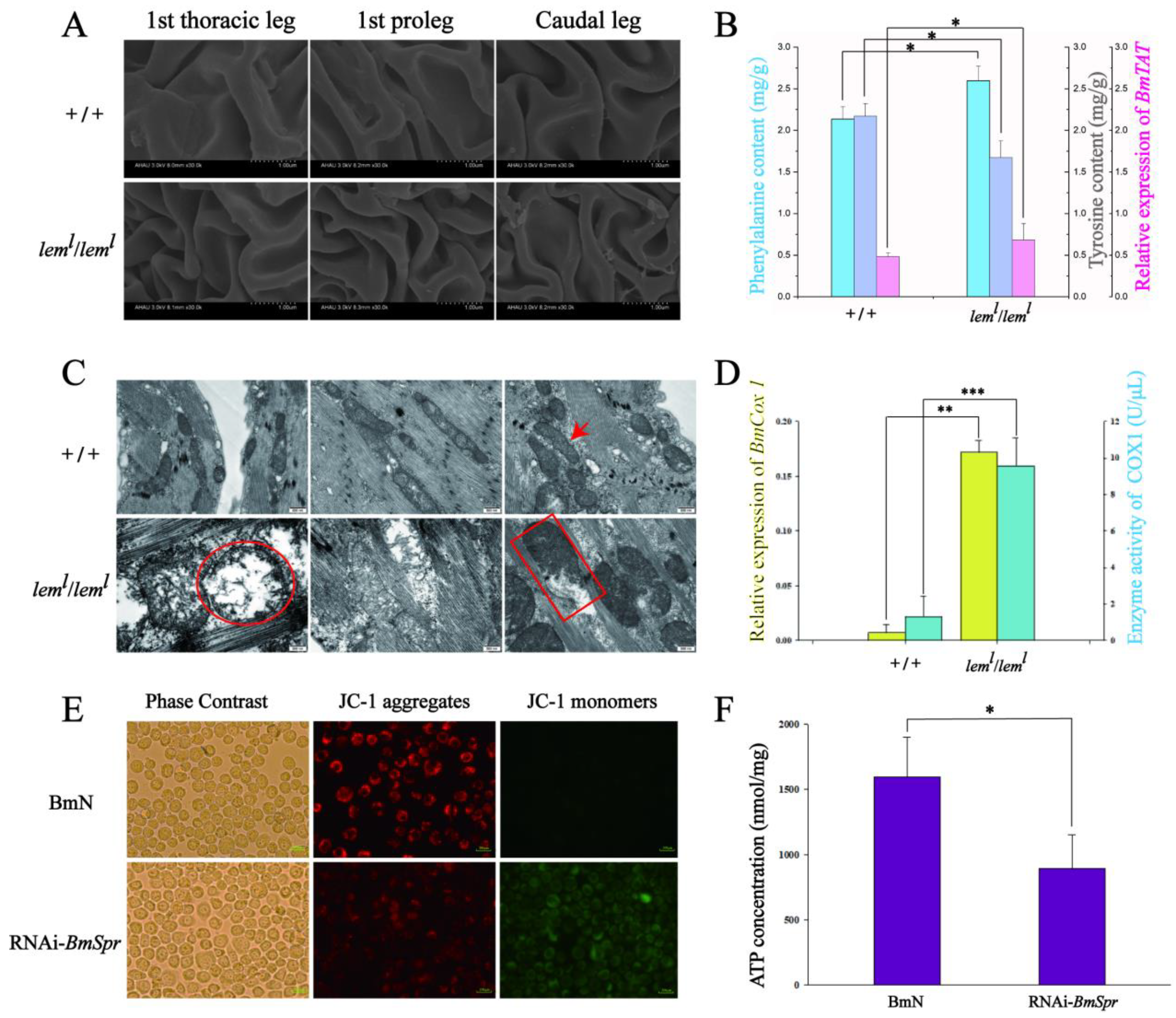 Ijms 23 12083 g002 Ijms 23 12083 g002
