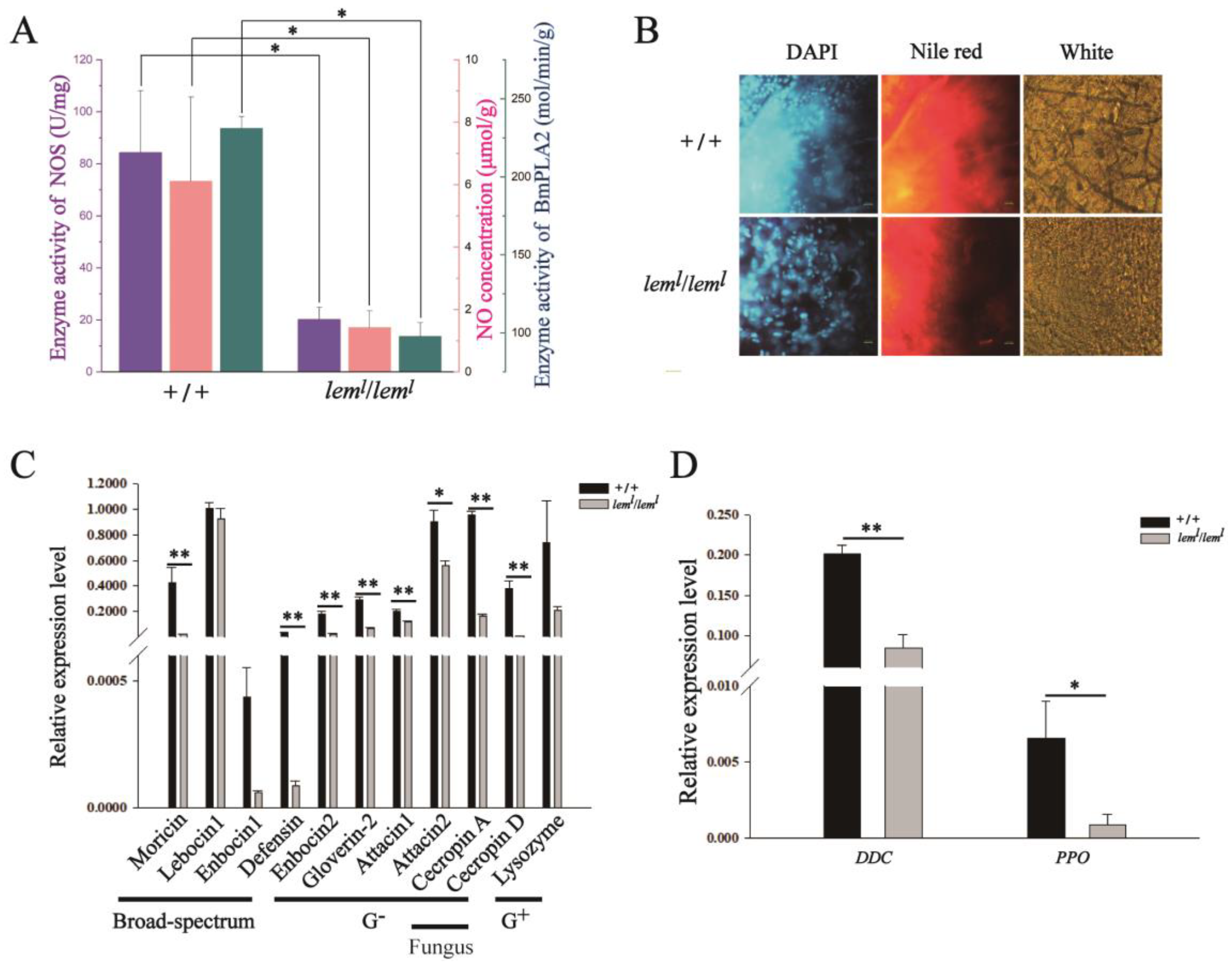 Ijms 23 12083 g003 Ijms 23 12083 g003