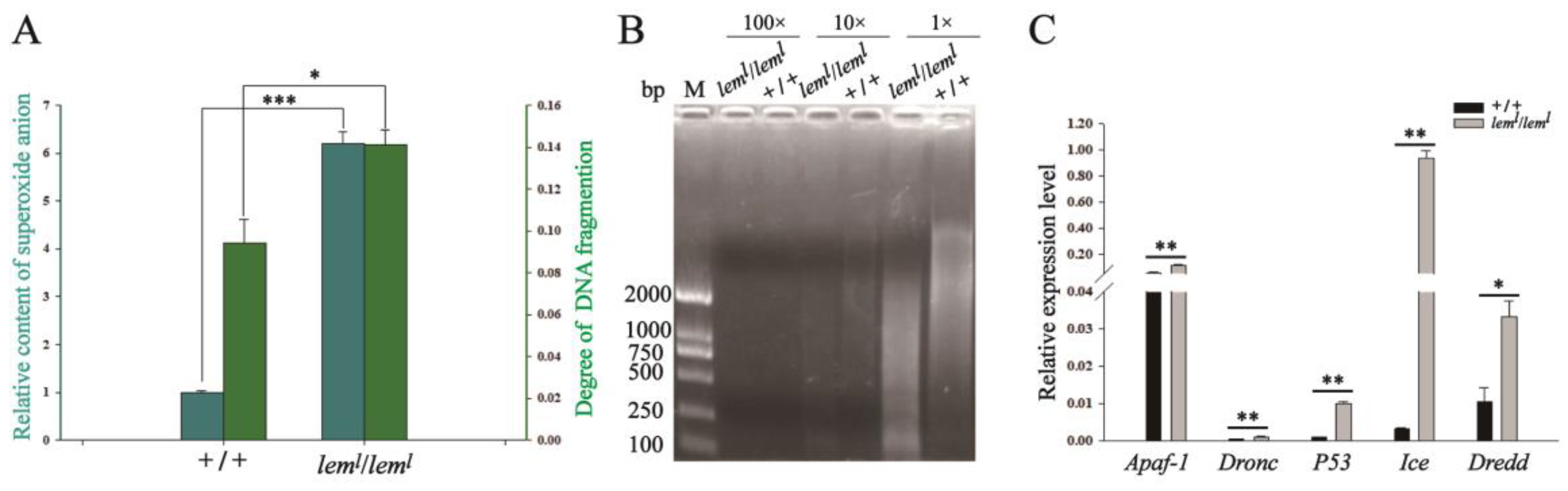 Ijms 23 12083 g004 Ijms 23 12083 g004