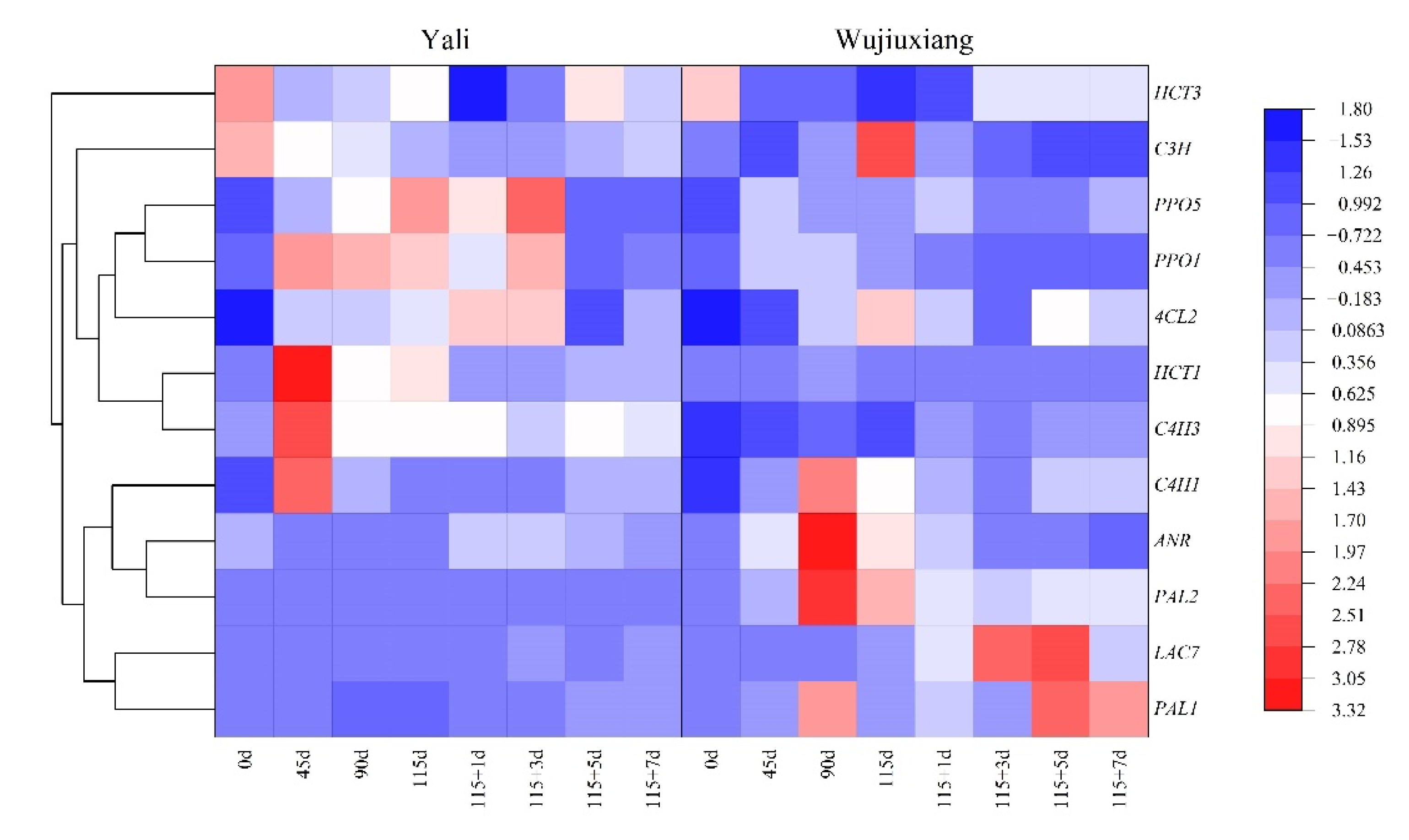 Ijms 23 12088 g005 Ijms 23 12088 g005