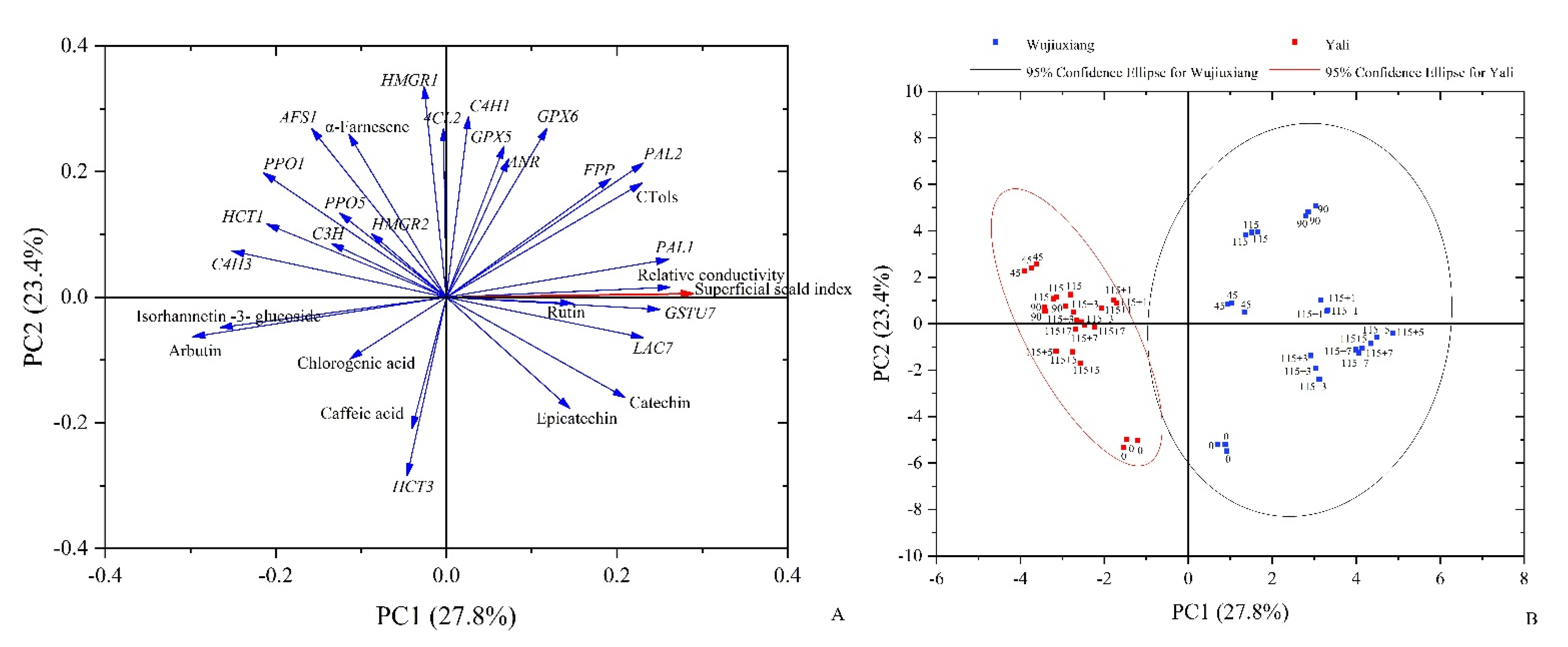 Ijms 23 12088 g007 Ijms 23 12088 g007