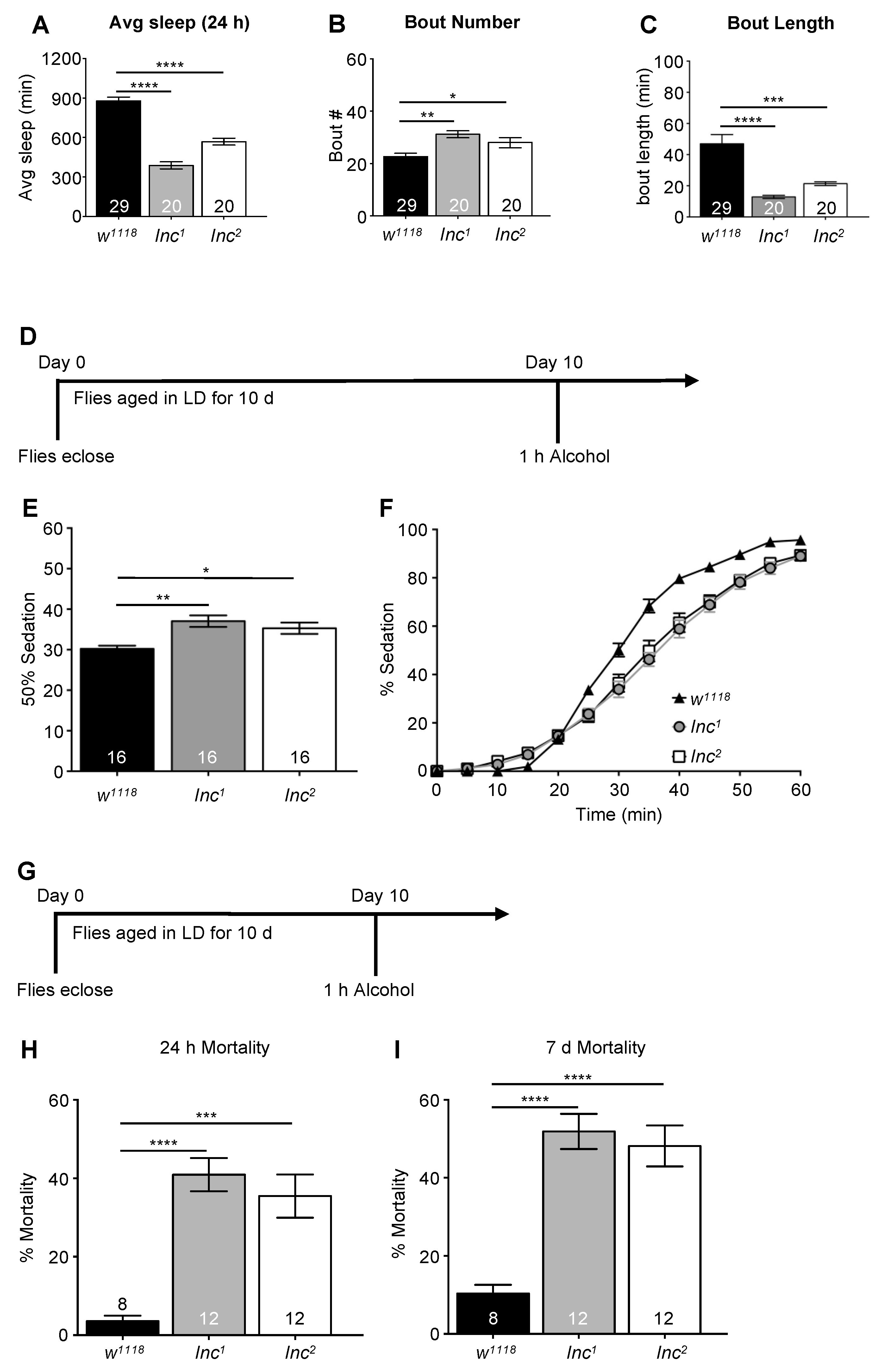Ijms 23 12091 g004 Ijms 23 12091 g004