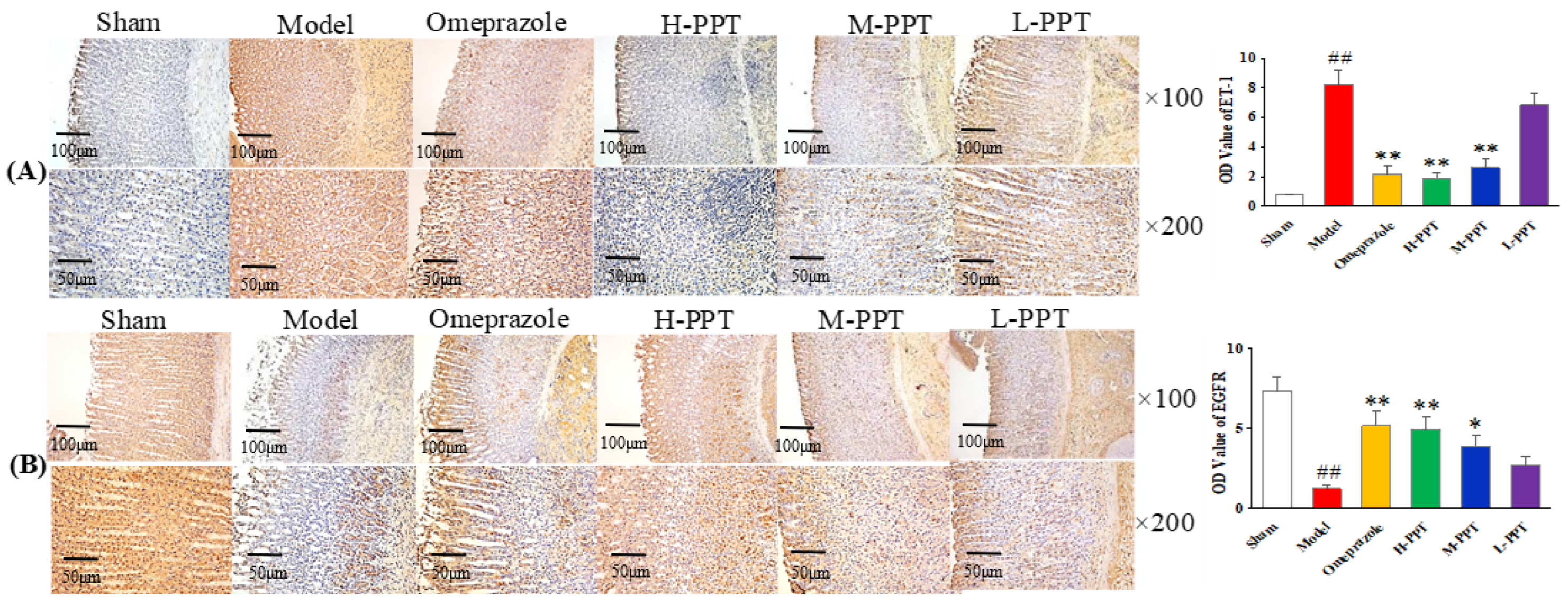 Ijms 23 12097 g004 Ijms 23 12097 g004