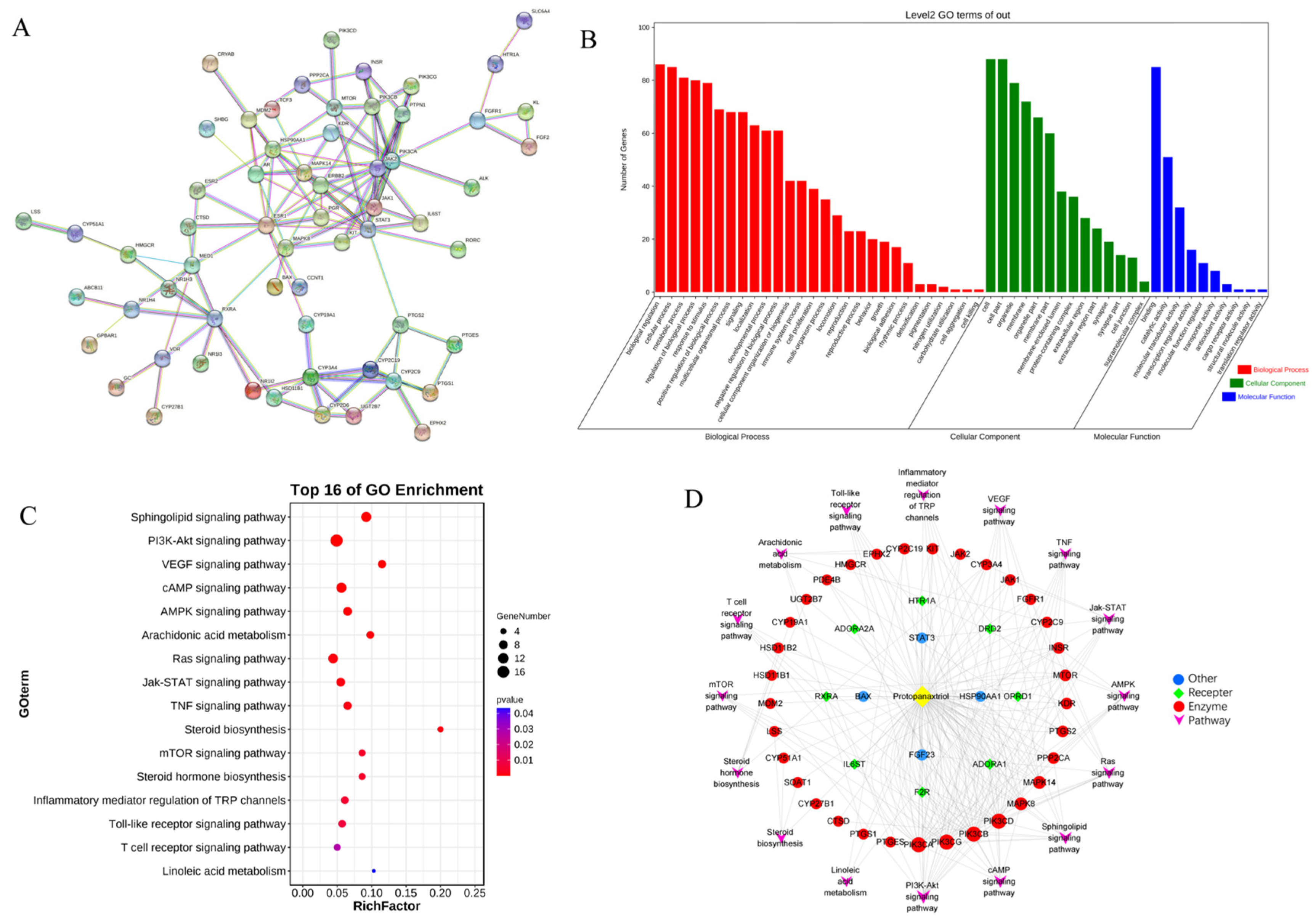 Ijms 23 12097 g008 Ijms 23 12097 g008