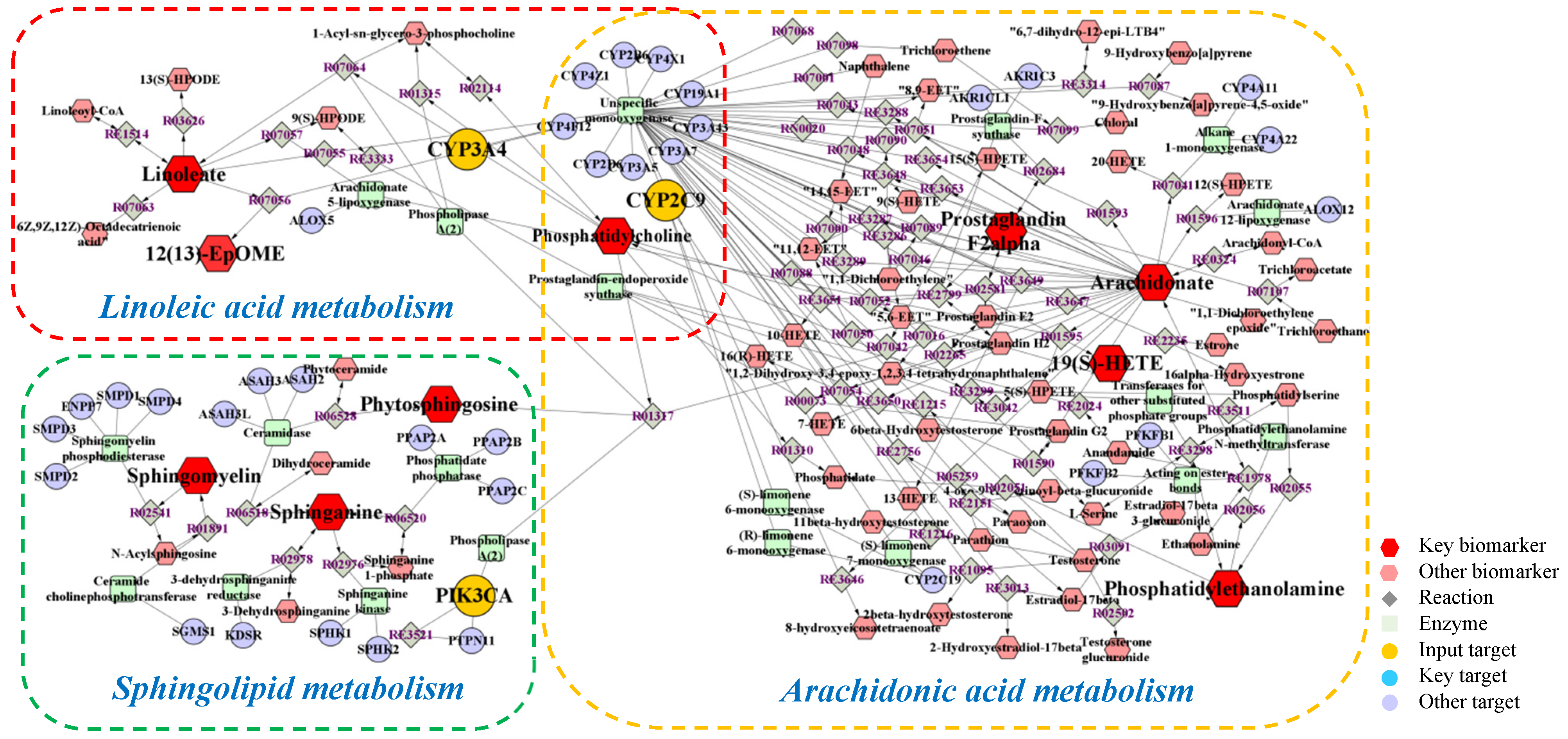 Ijms 23 12097 g009 Ijms 23 12097 g009