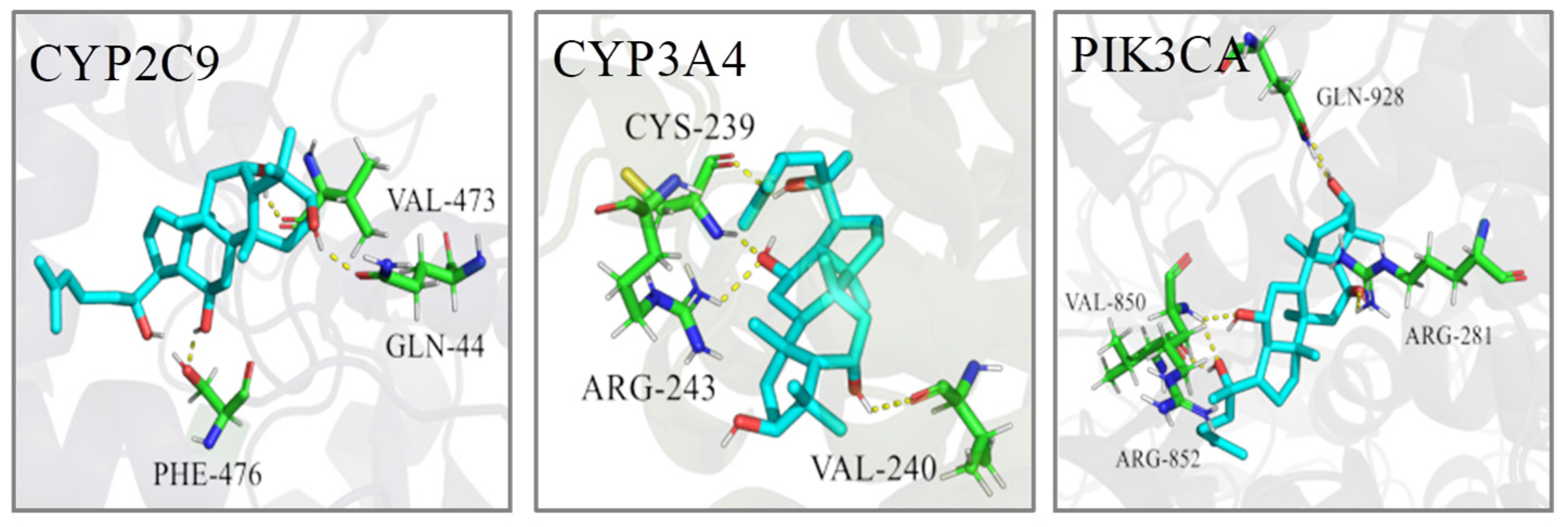 Ijms 23 12097 g010 Ijms 23 12097 g010