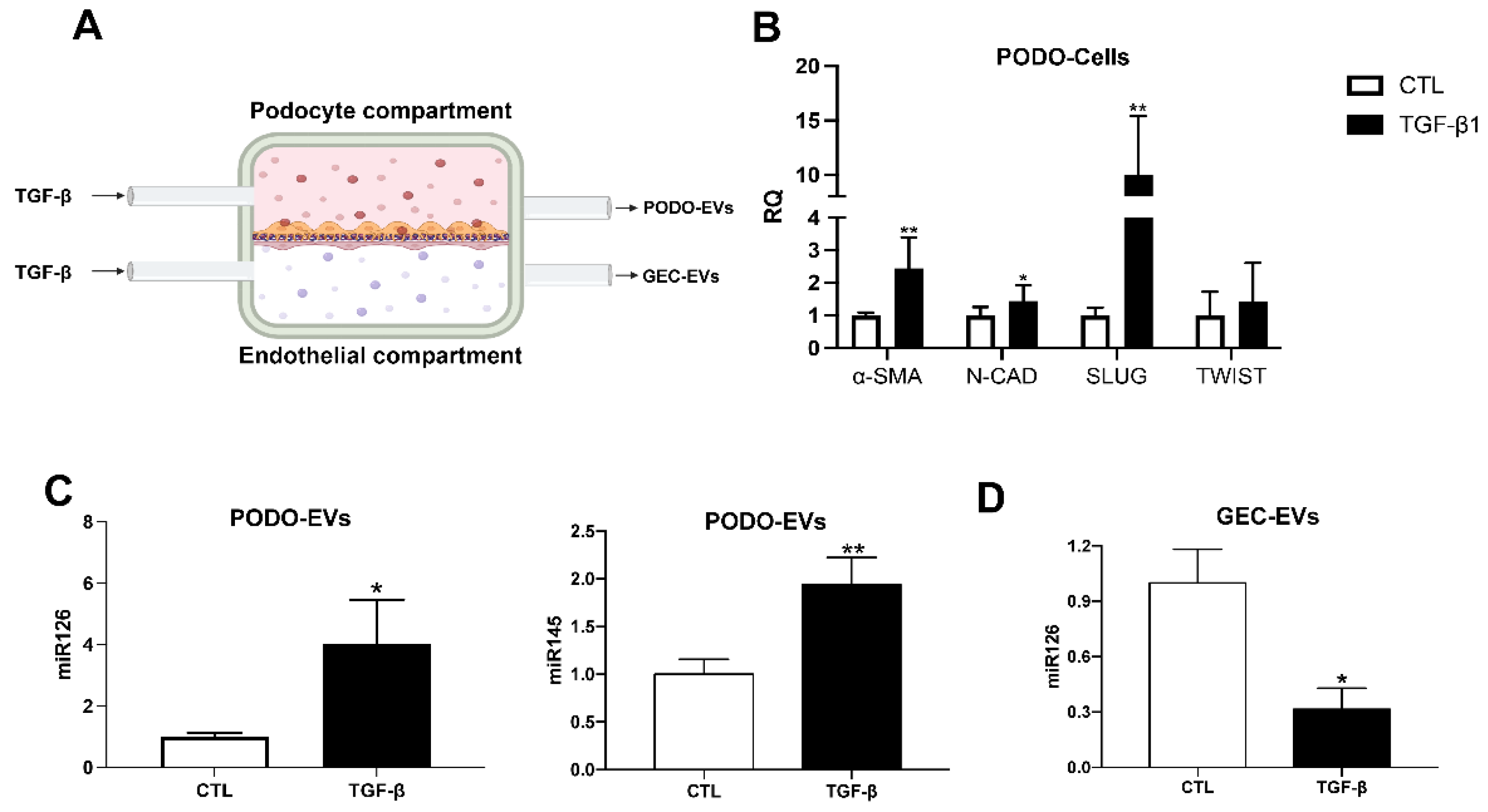 Ijms 23 12098 g003 Ijms 23 12098 g003