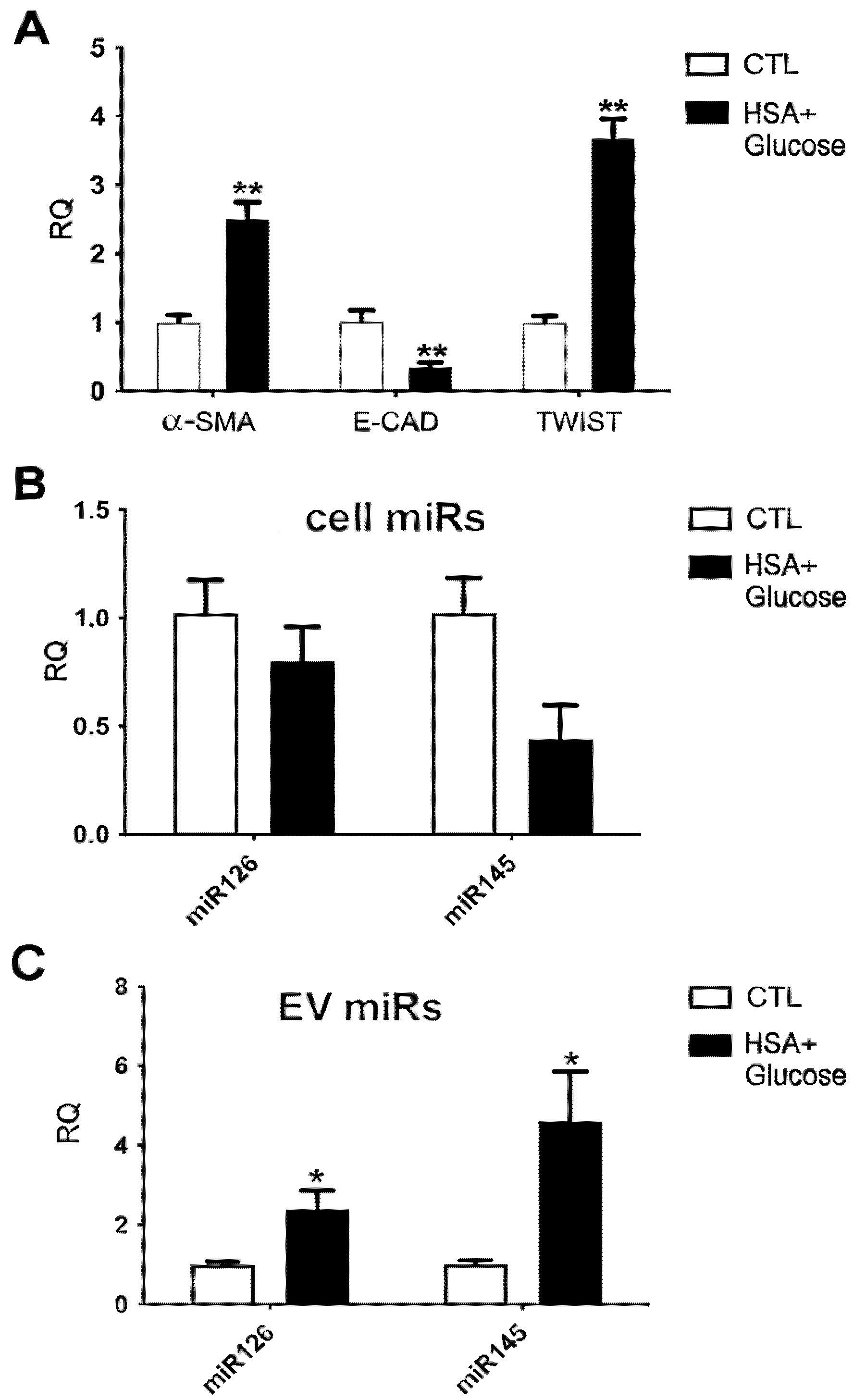Ijms 23 12098 g004 Ijms 23 12098 g004