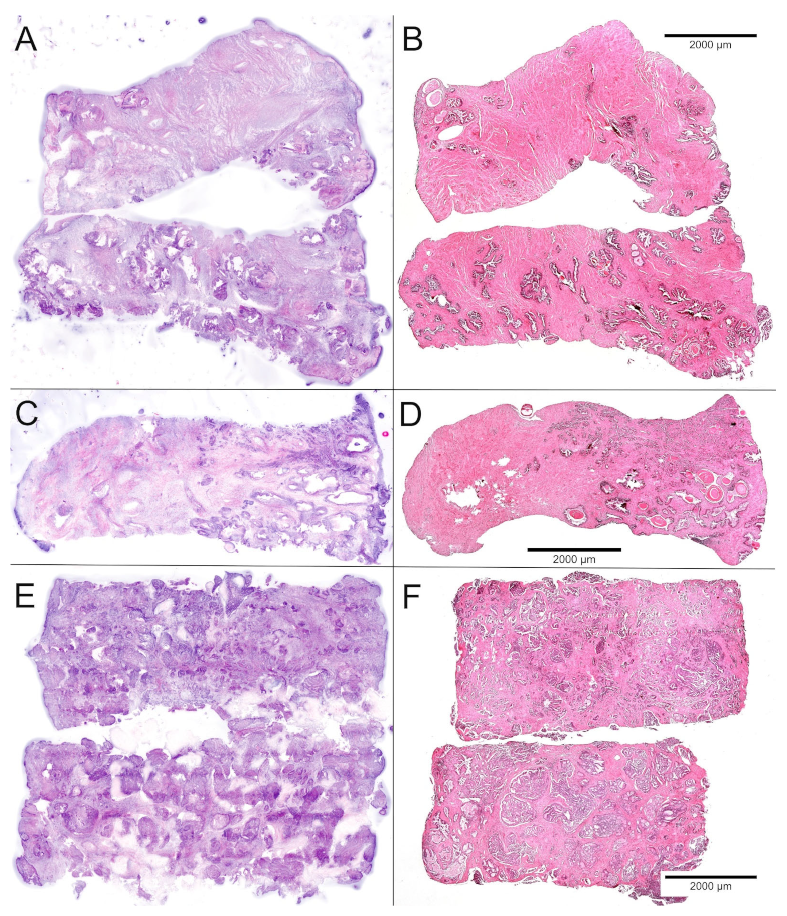 Ijms 23 12103 g002 Ijms 23 12103 g002