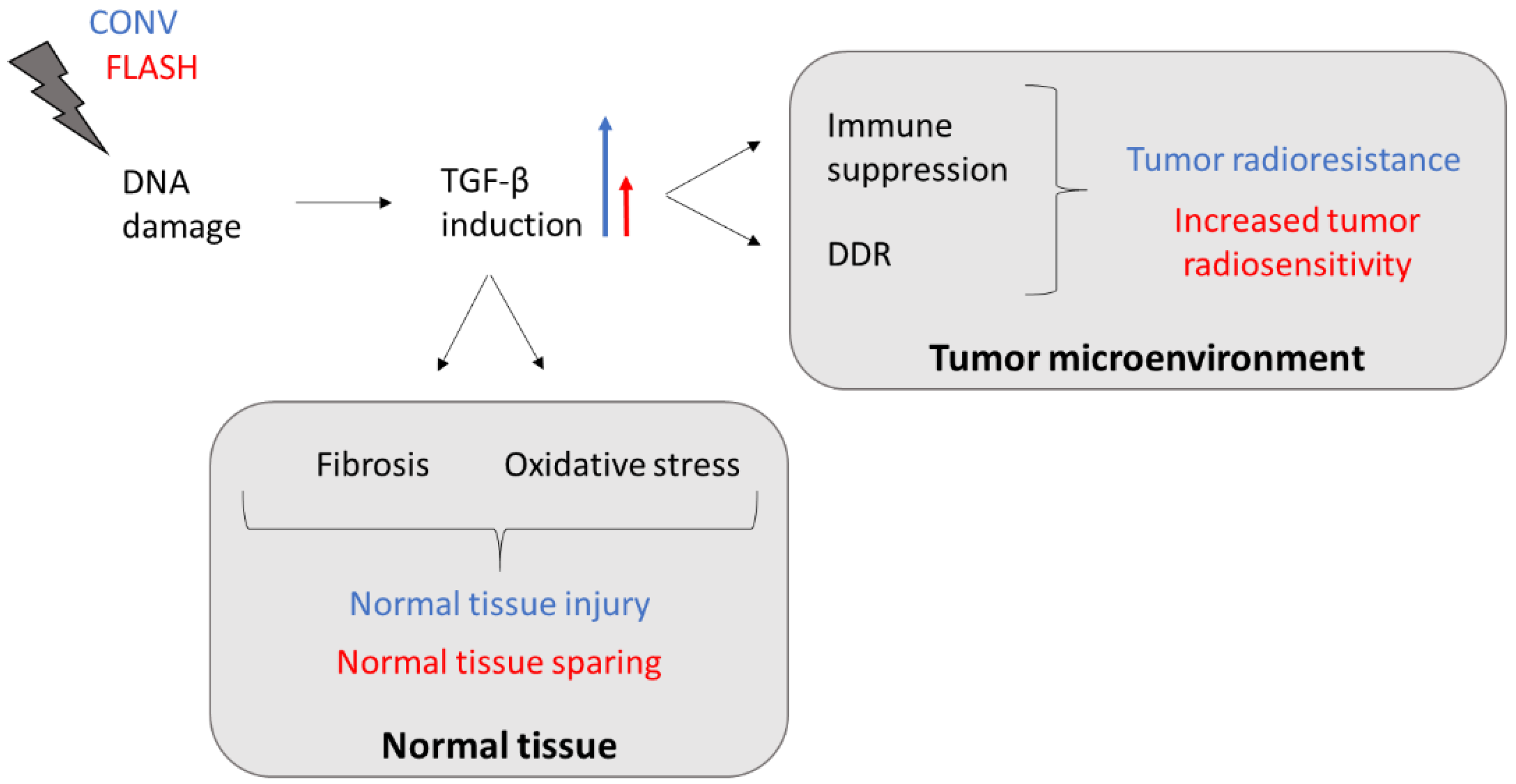 Ijms 23 12109 g001 Ijms 23 12109 g001