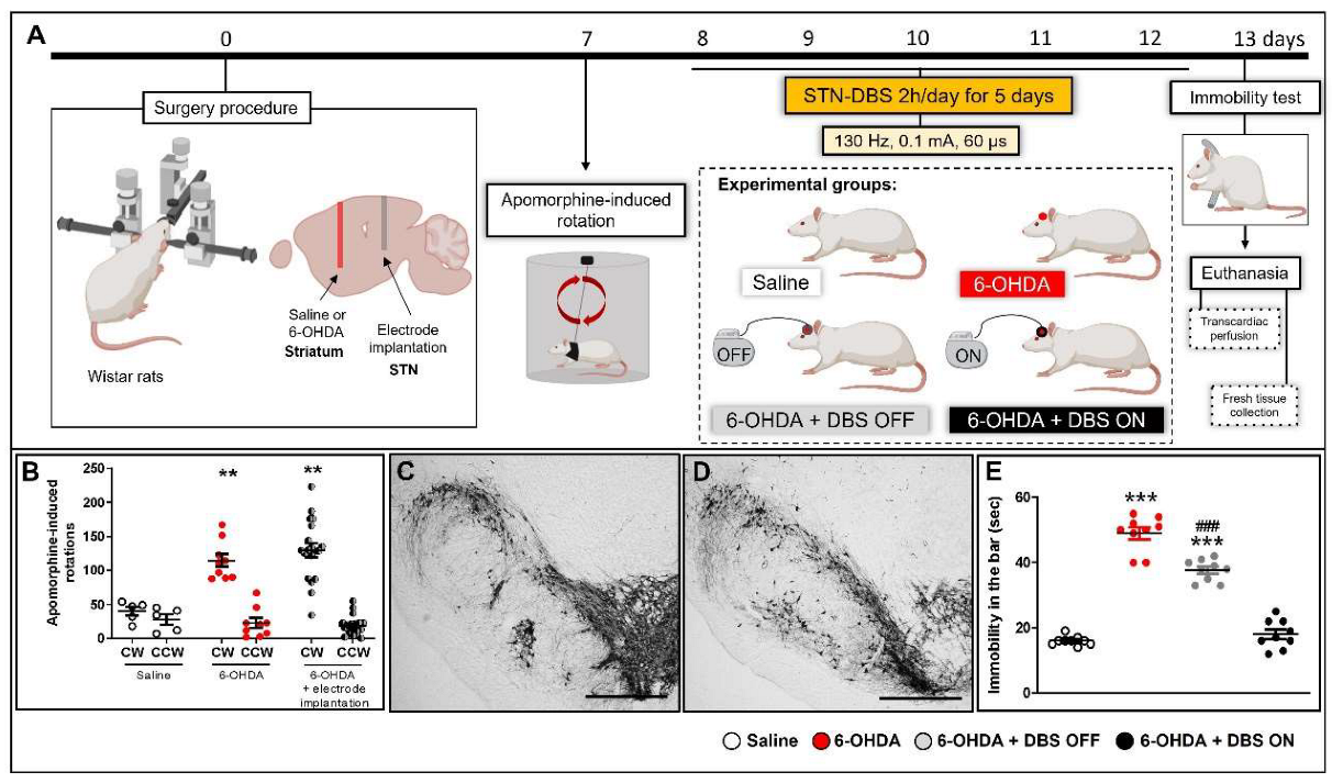 Ijms 23 12116 g001 Ijms 23 12116 g001