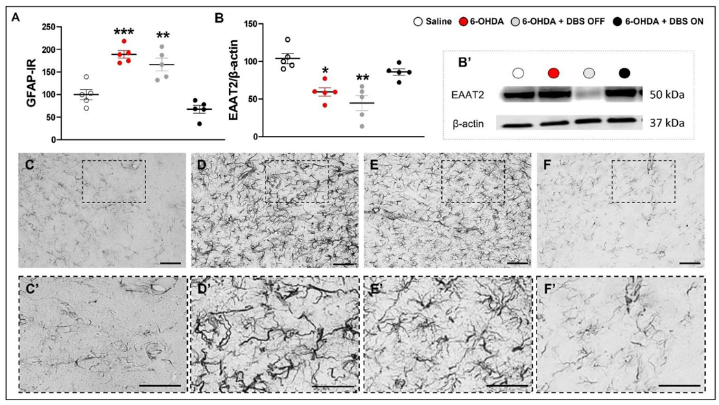 Ijms 23 12116 g002 Ijms 23 12116 g002