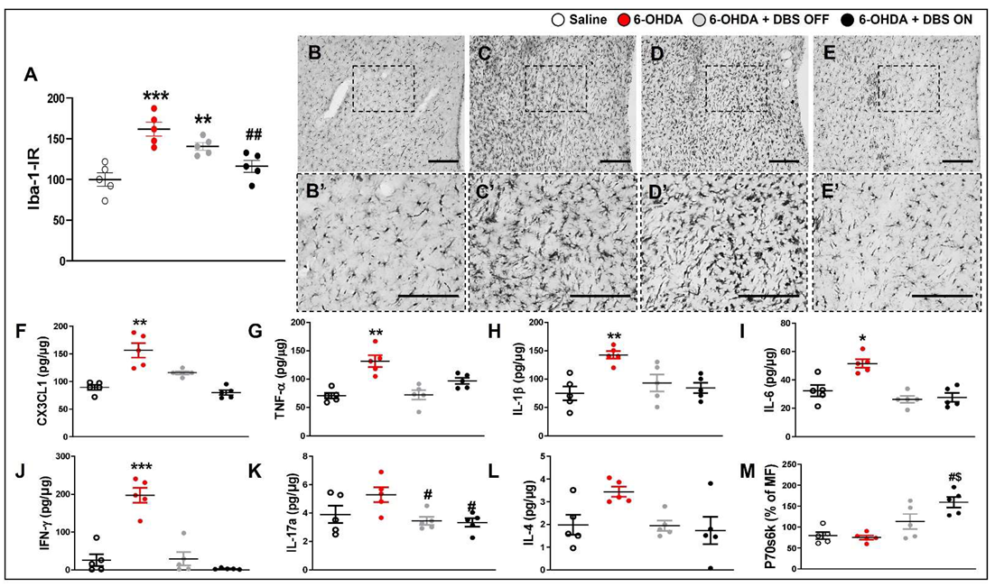 Ijms 23 12116 g003 Ijms 23 12116 g003