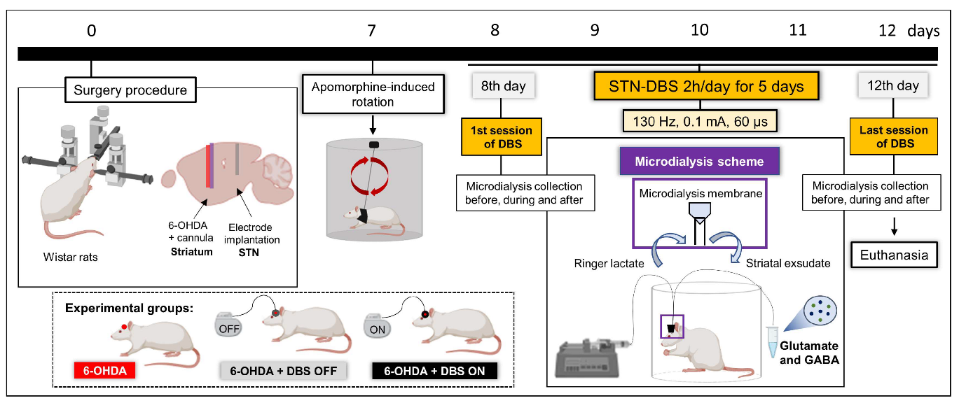 Ijms 23 12116 g004 Ijms 23 12116 g004
