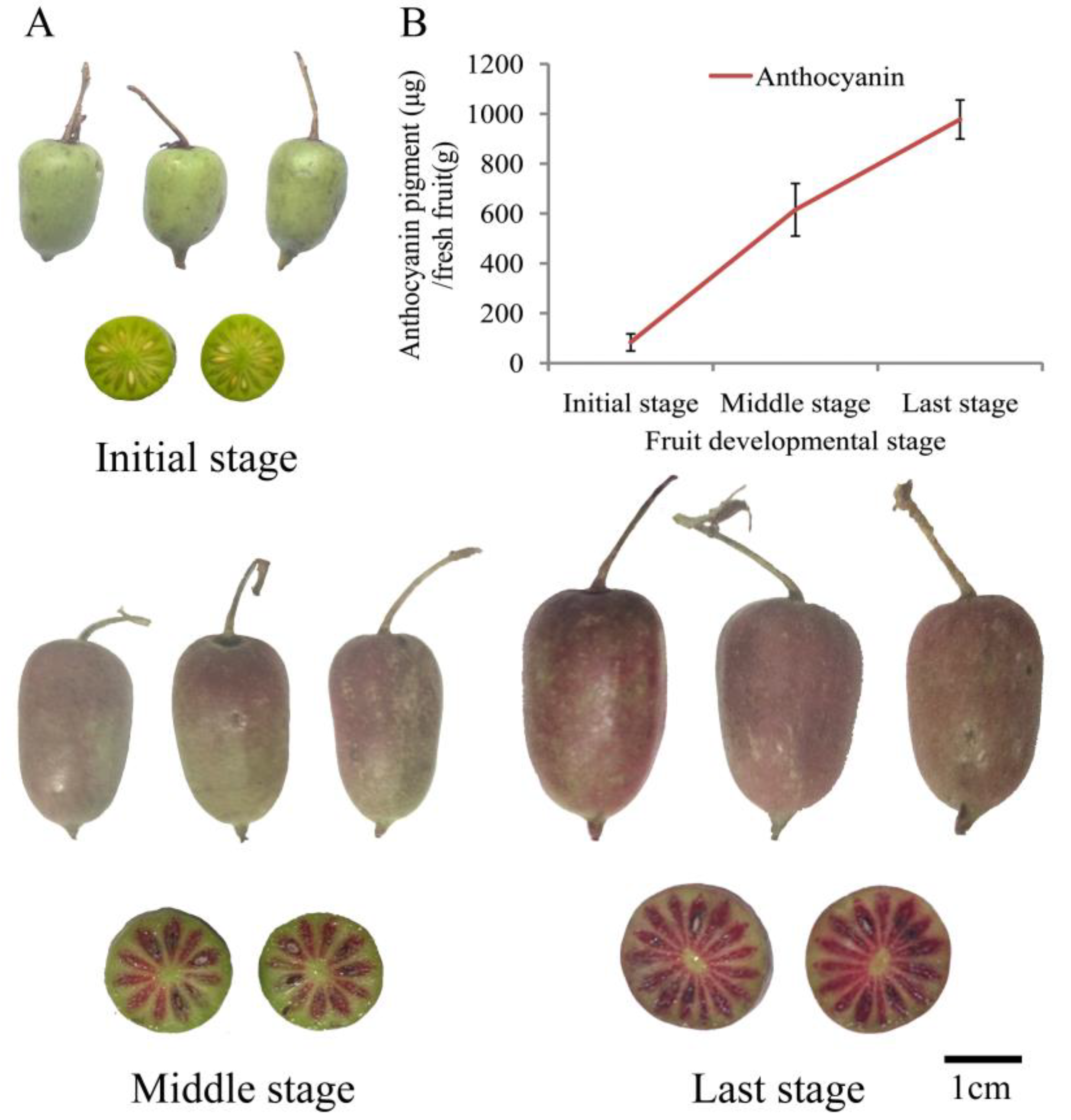 Ijms 23 12120 g001 Ijms 23 12120 g001