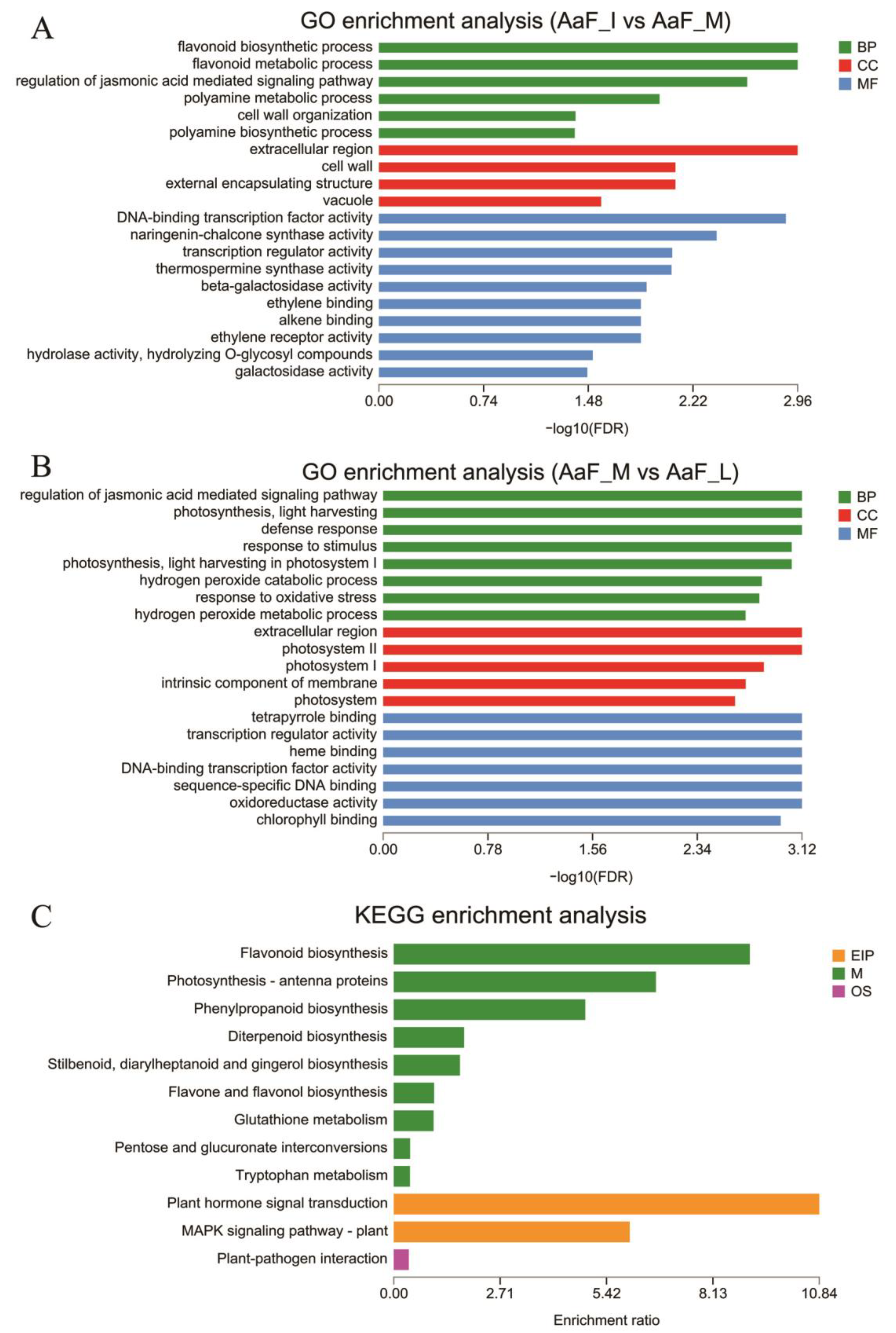 Ijms 23 12120 g003 Ijms 23 12120 g003