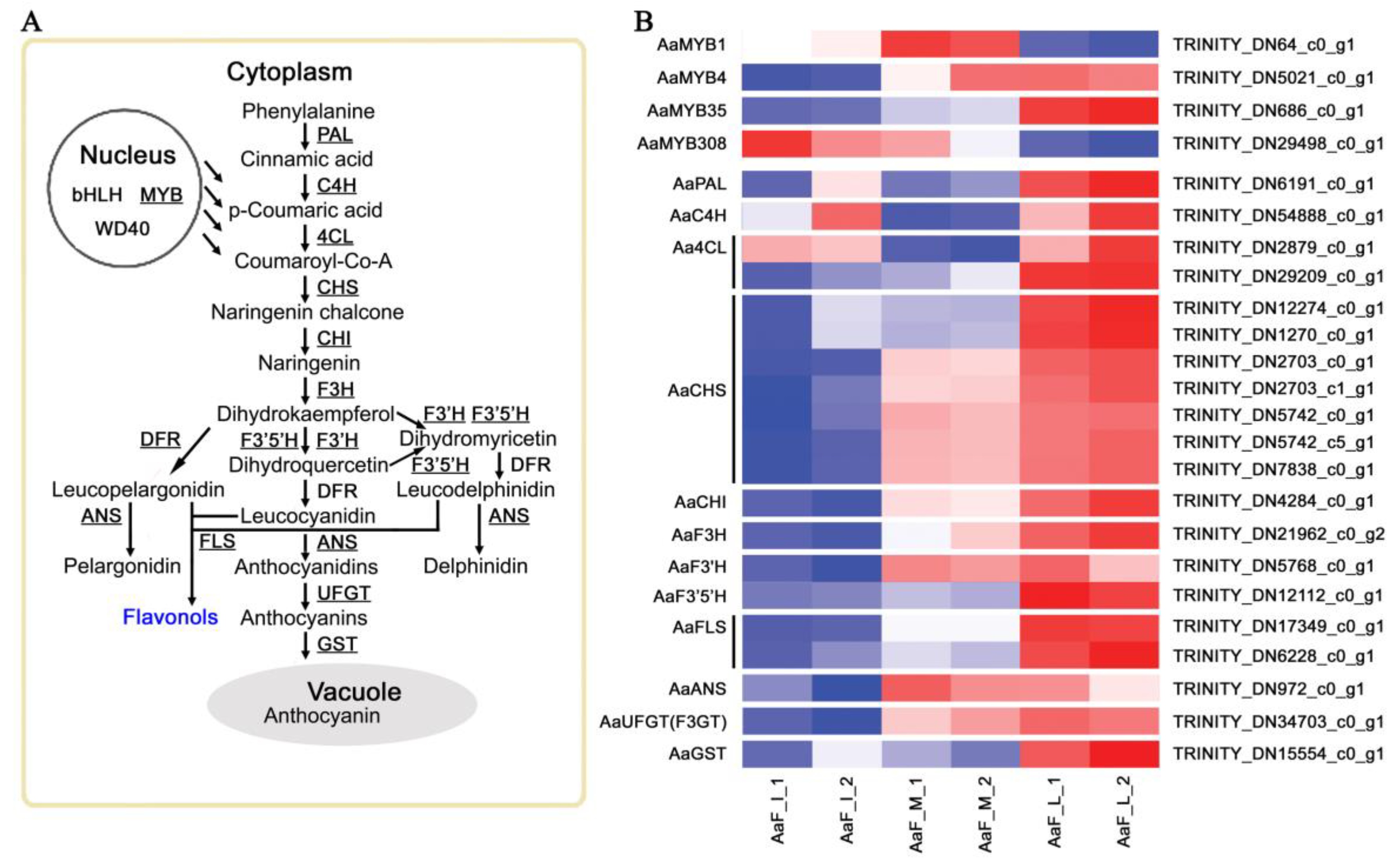 Ijms 23 12120 g004 Ijms 23 12120 g004