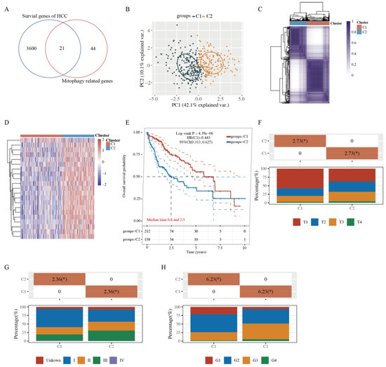A Mitophagy-Related Gene Signature for Subtype