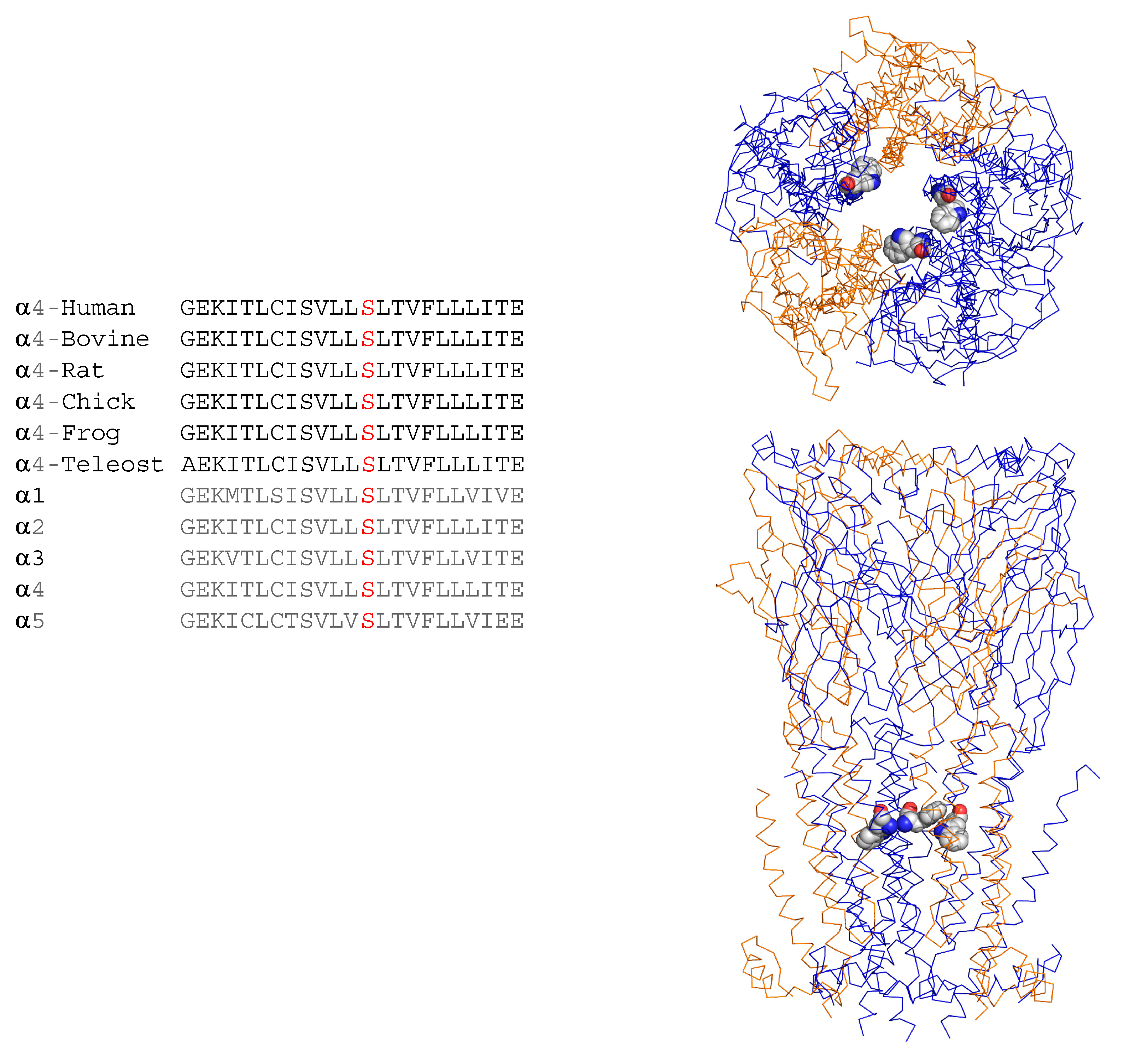 Ijms 23 12124 g002 Ijms 23 12124 g002