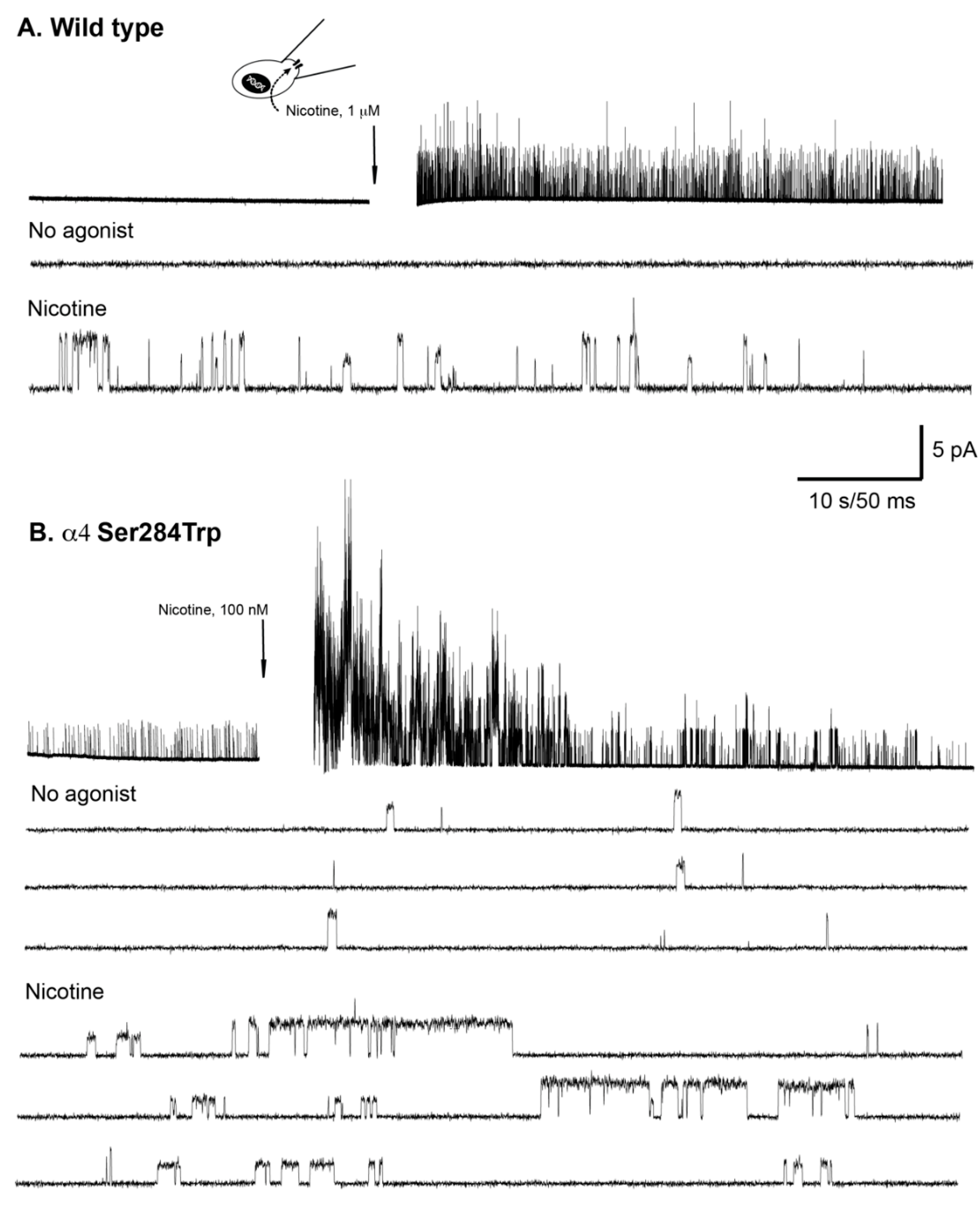 Ijms 23 12124 g004 Ijms 23 12124 g004
