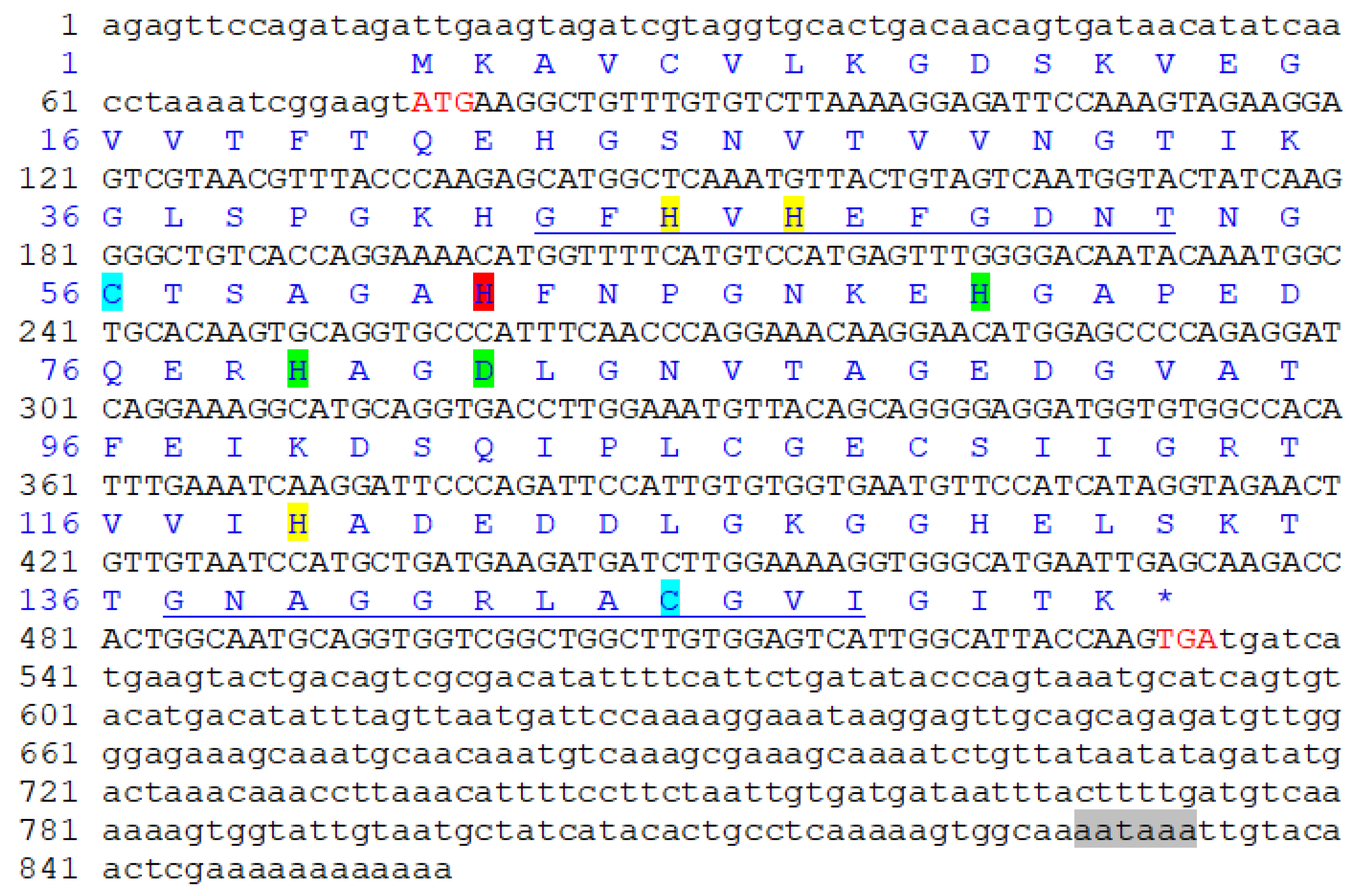 Ijms 23 12136 g002 Ijms 23 12136 g002