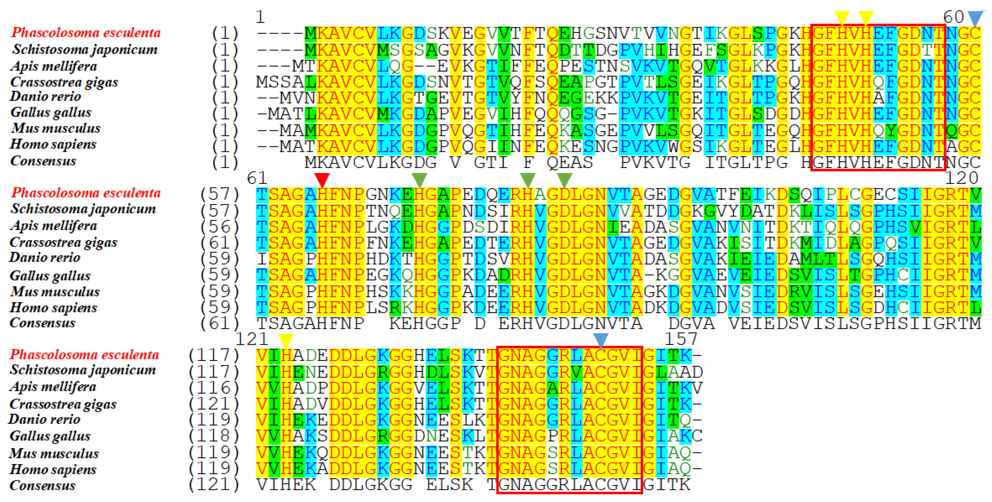 Ijms 23 12136 g003 Ijms 23 12136 g003