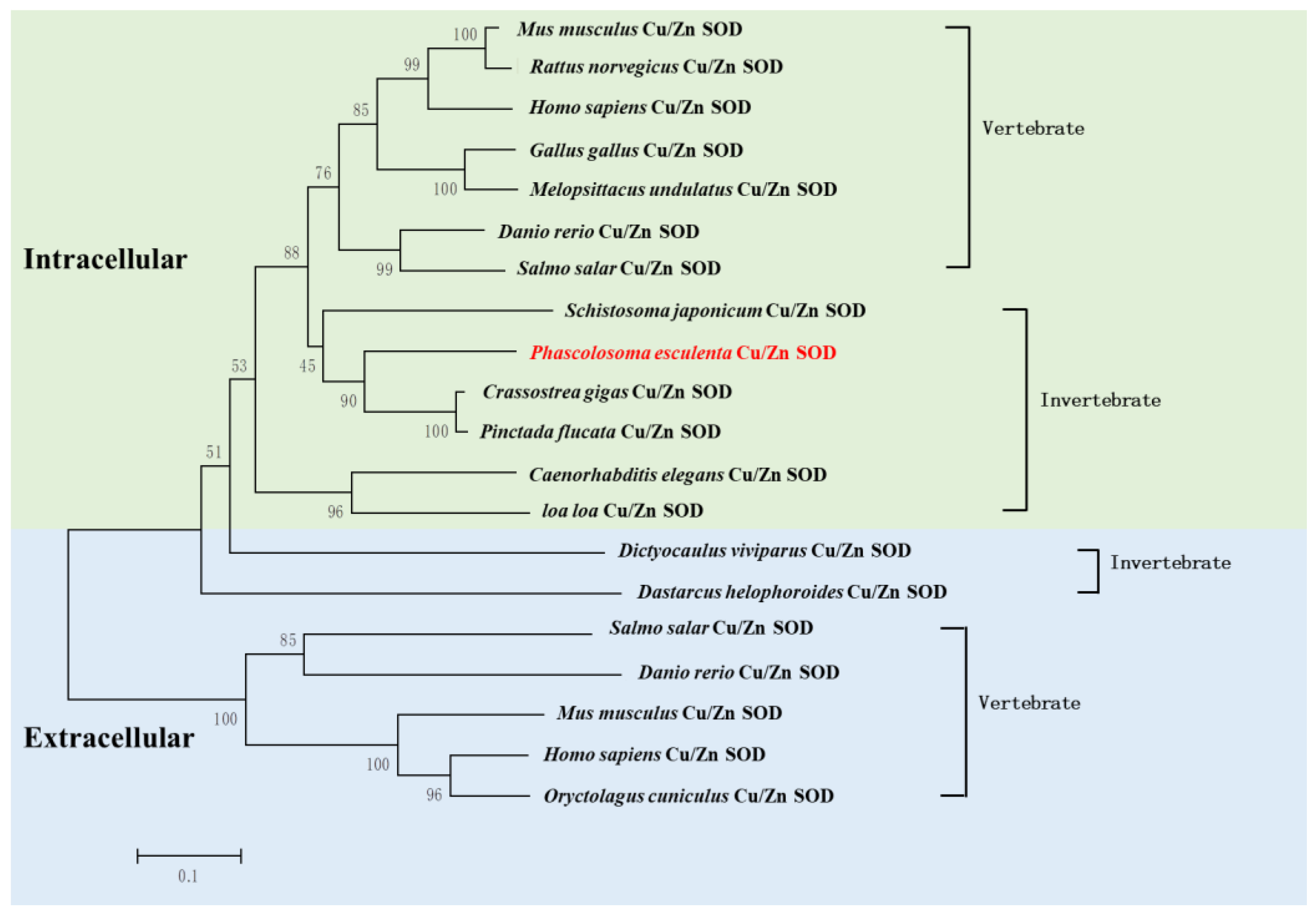 Ijms 23 12136 g004 Ijms 23 12136 g004