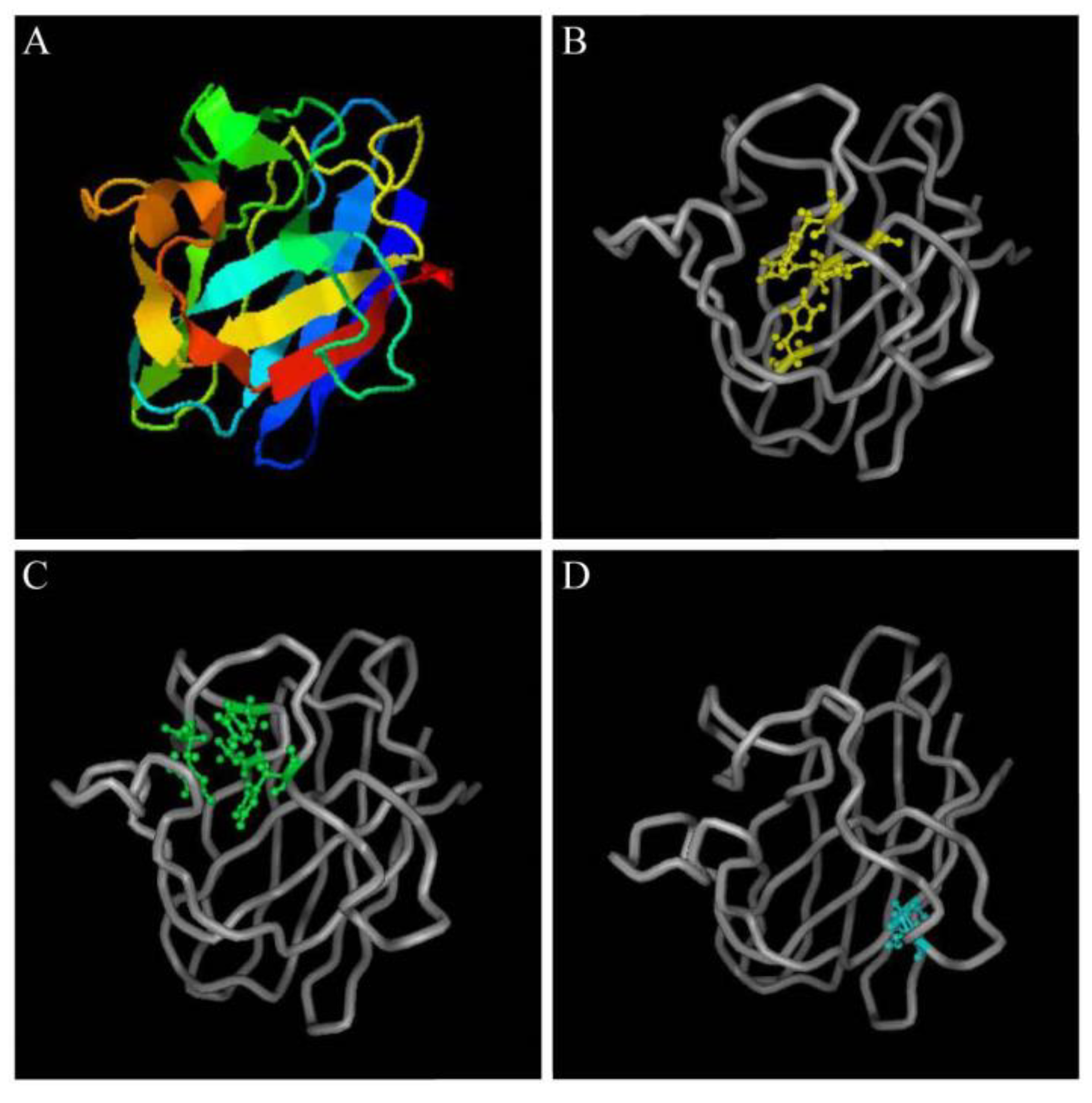 Ijms 23 12136 g005 Ijms 23 12136 g005